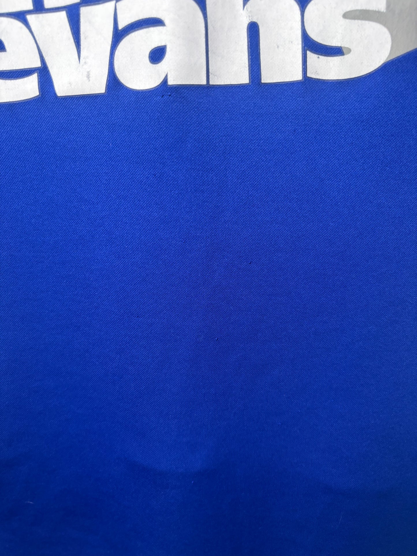 Ipswich Town Home Shirt 2010/11 (M)