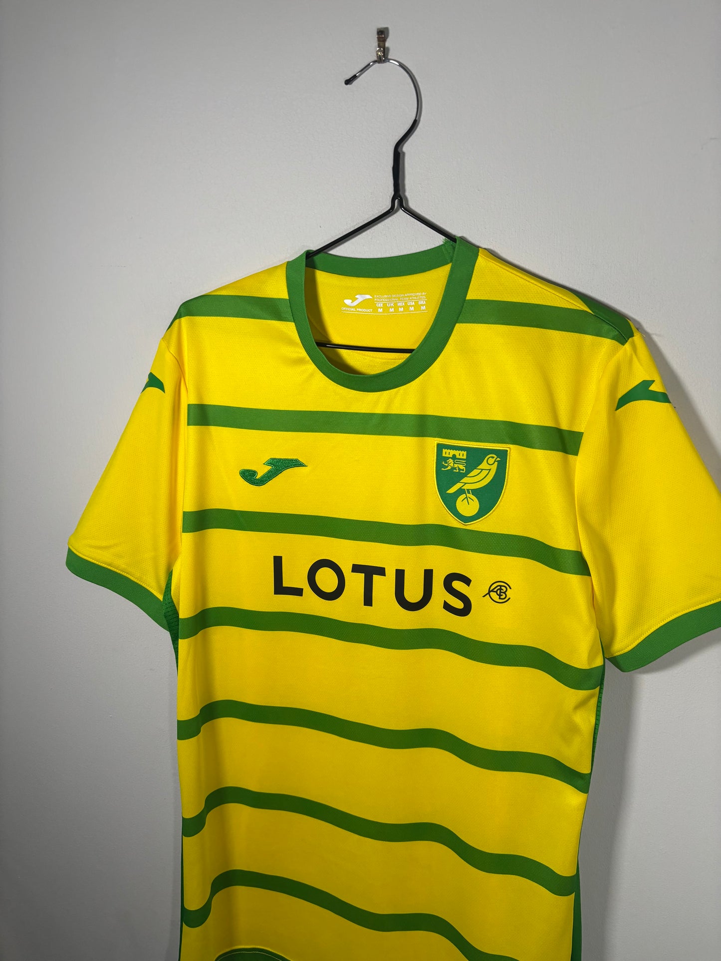 Norwich City Home Shirt 2023/24 (M)