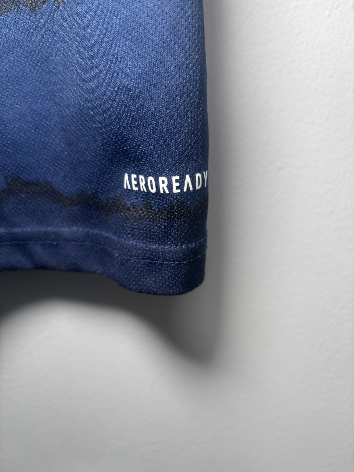 Scotland Home Shirt 2020 (S)