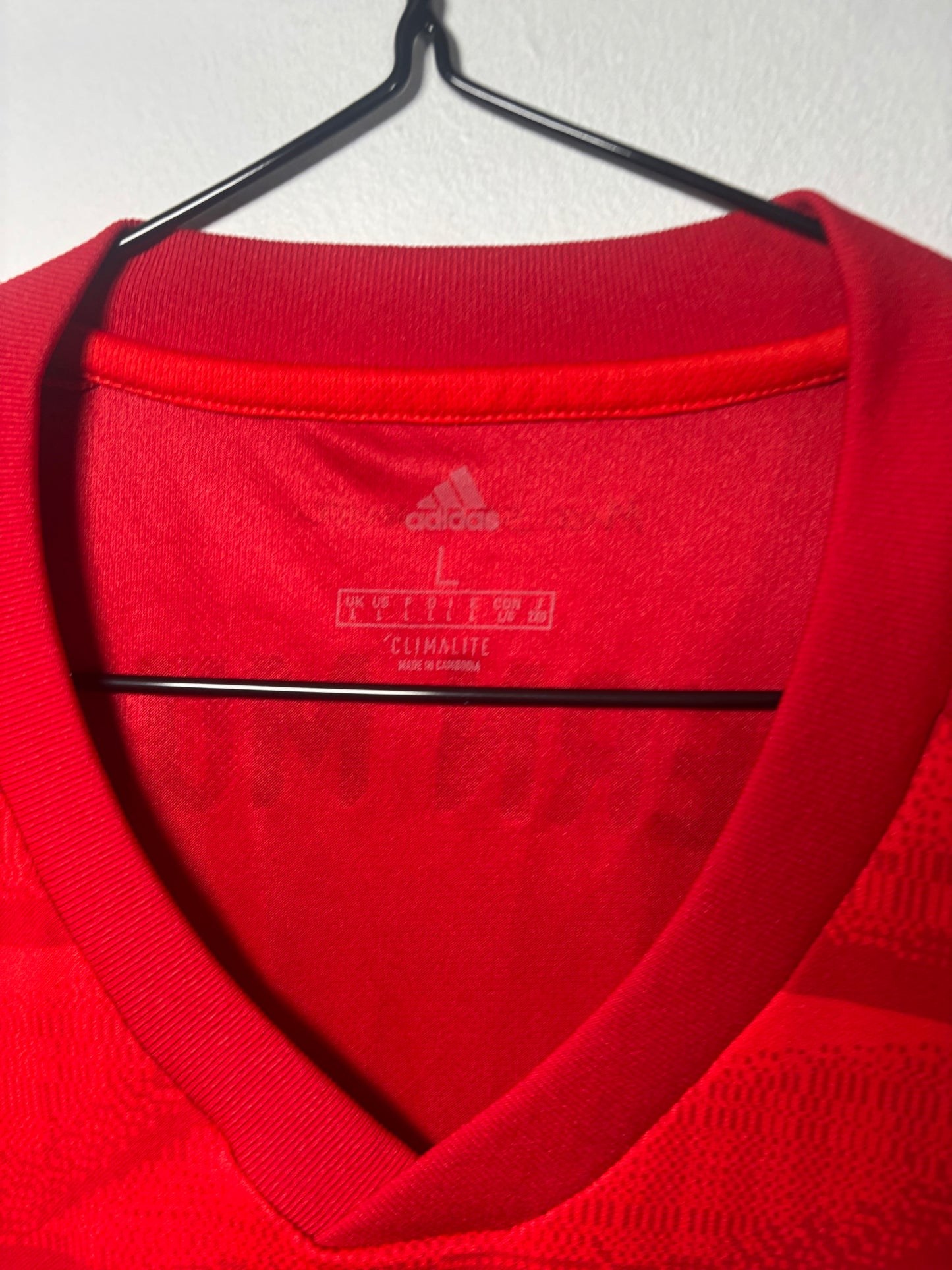 Bayern Munich Home Shirt 2019/20 (L)
