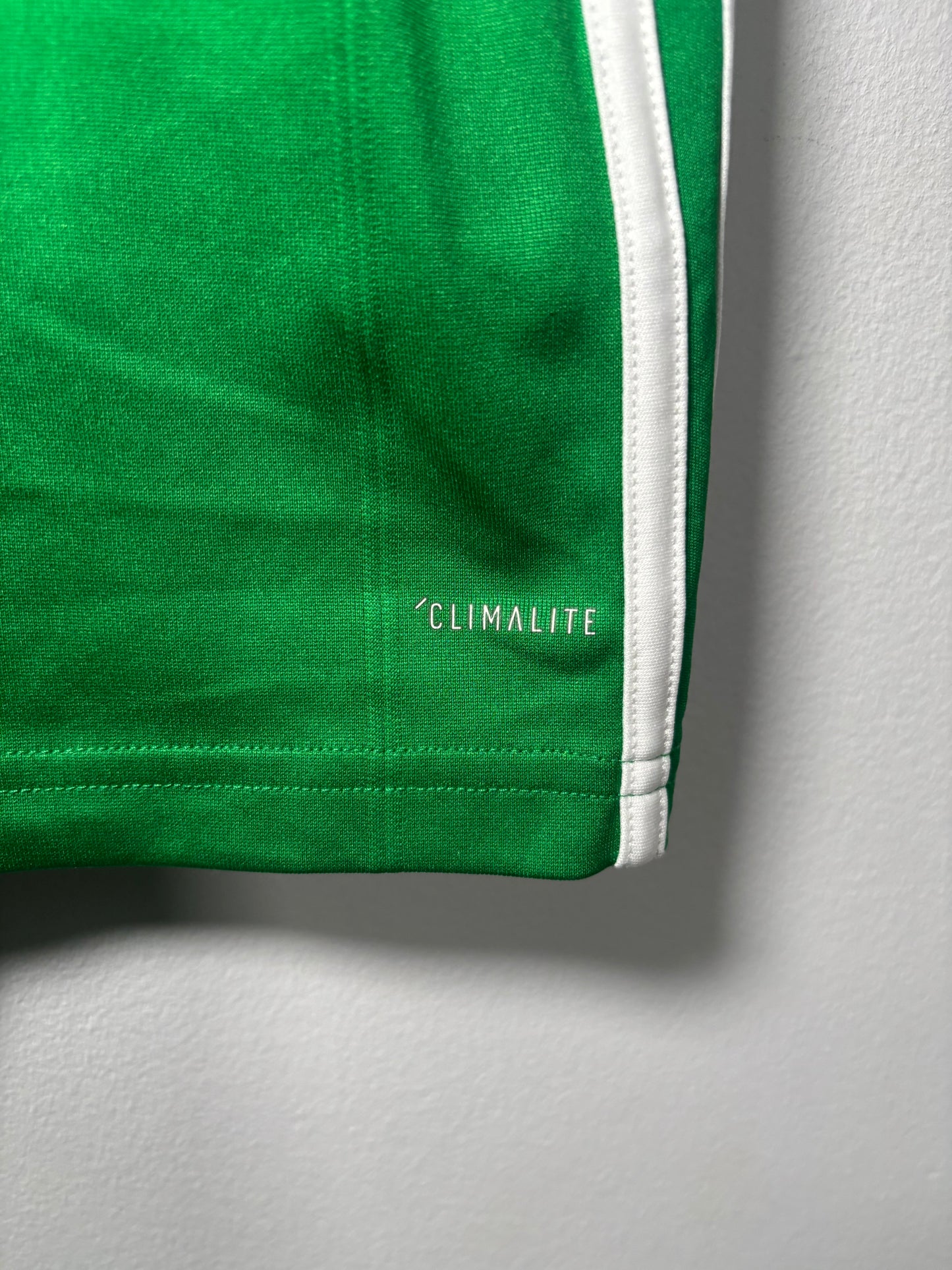 Northern Ireland Home Shirt 2018 (M)