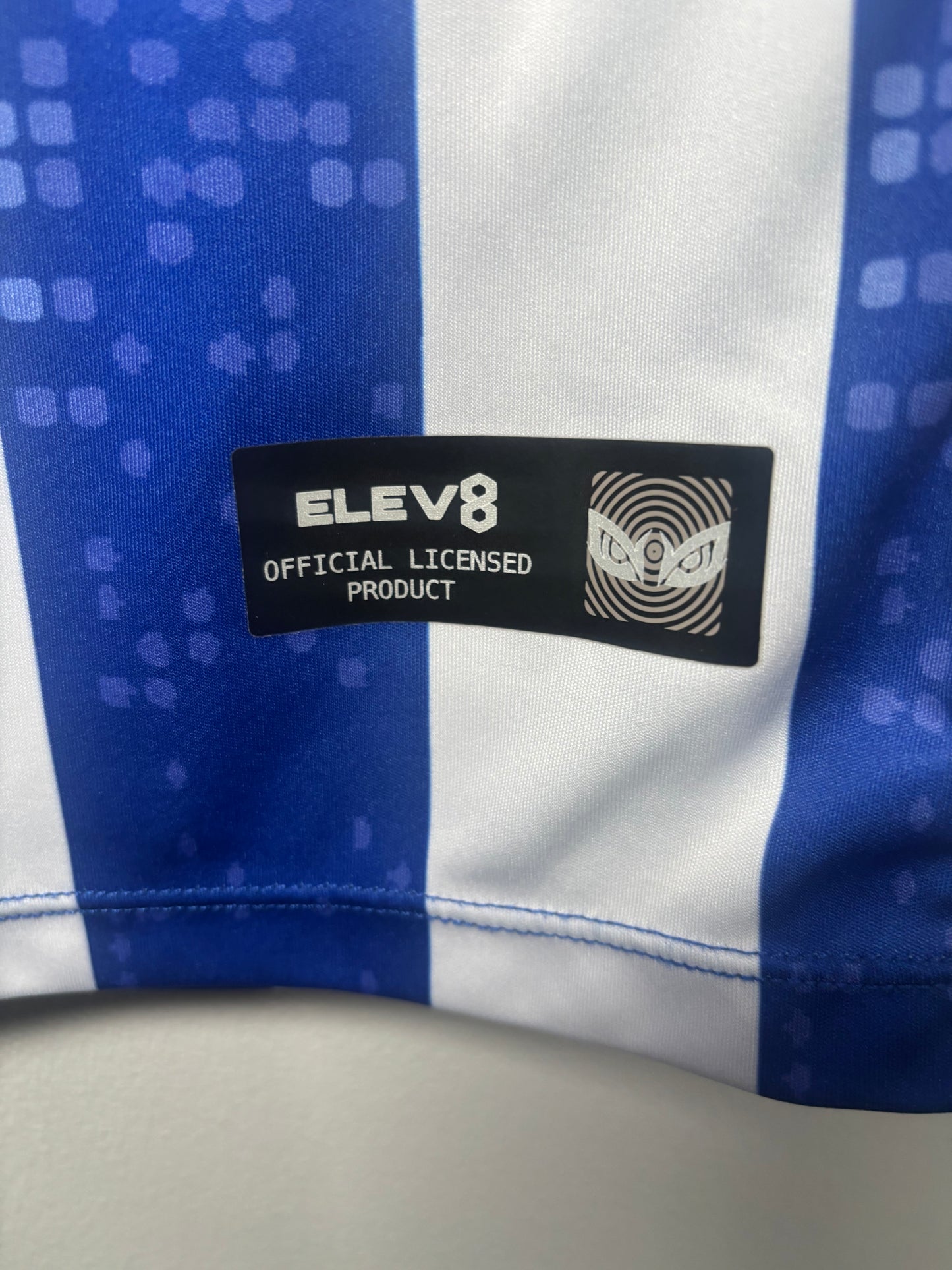 Sheffield Wednesday Home Shirt 2019/20 (S)