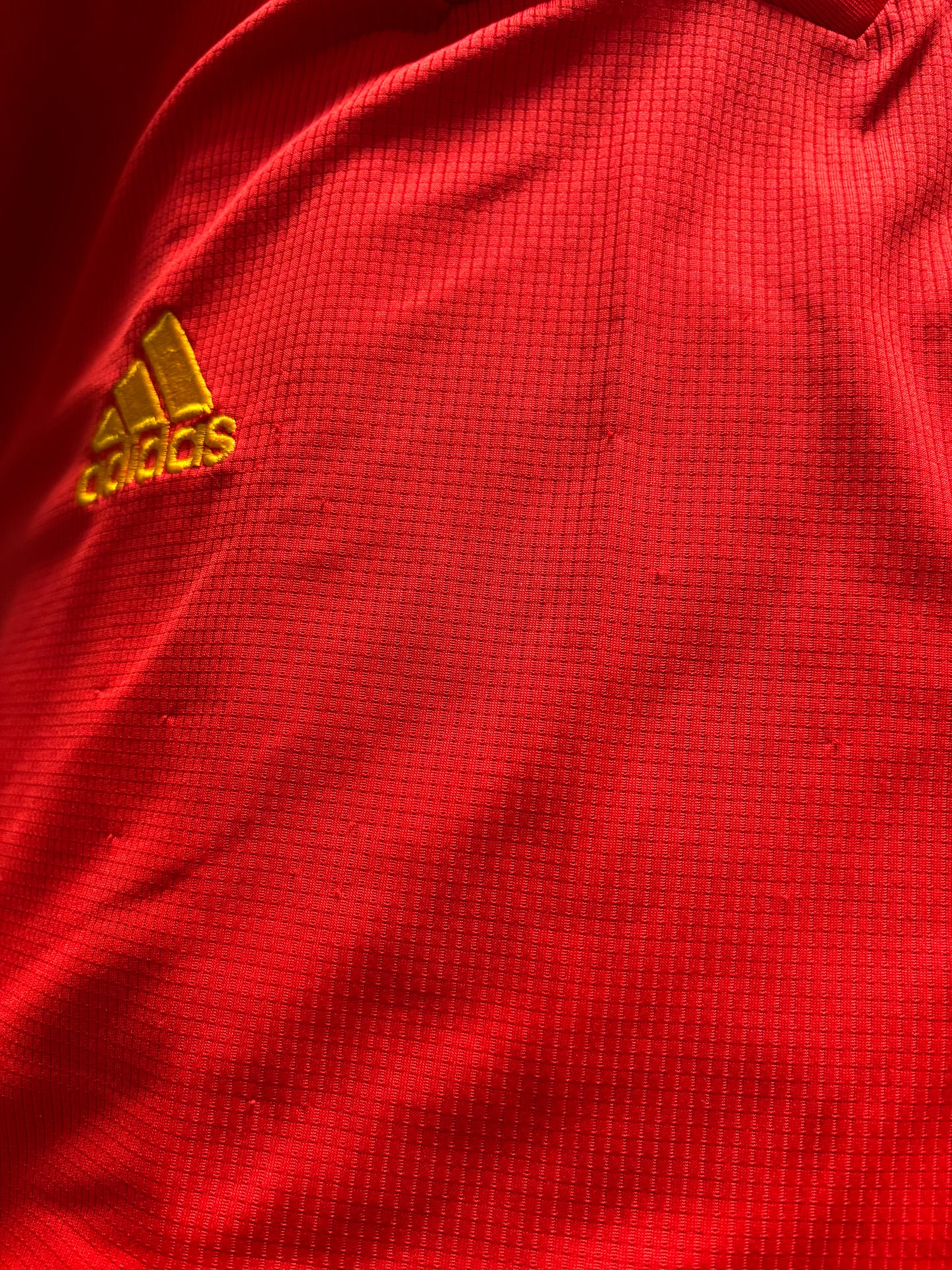 Wales Home Shirt 2020 (M)