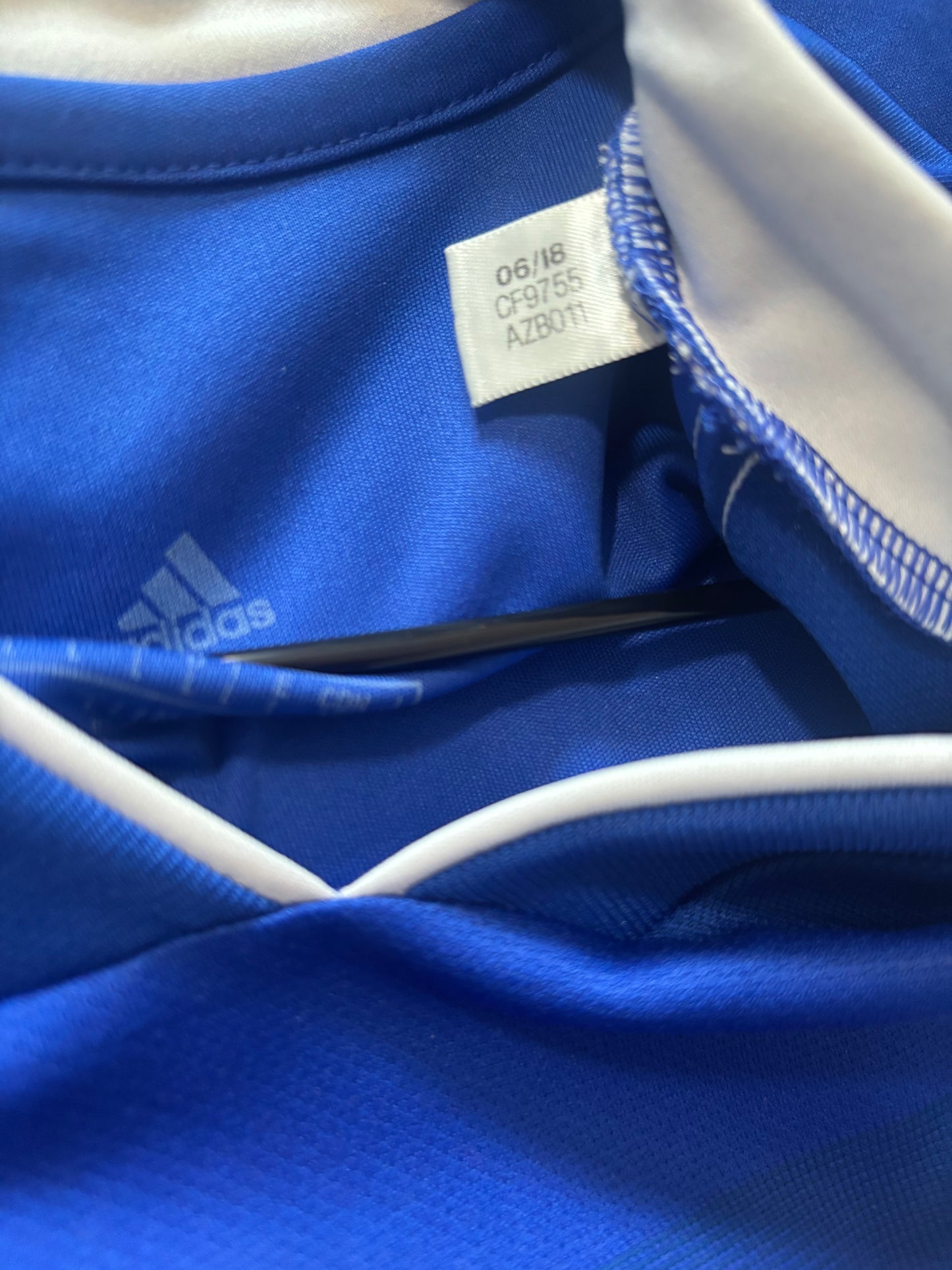 Cardiff City Home Shirt 2018/19 Danny Ward (L)