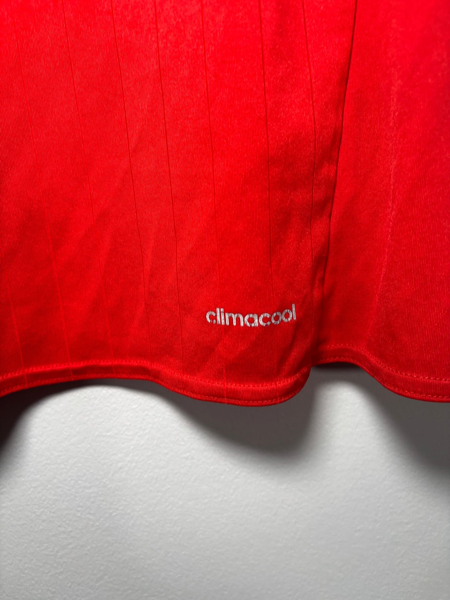 Wales Home Shirt 2016 (M)