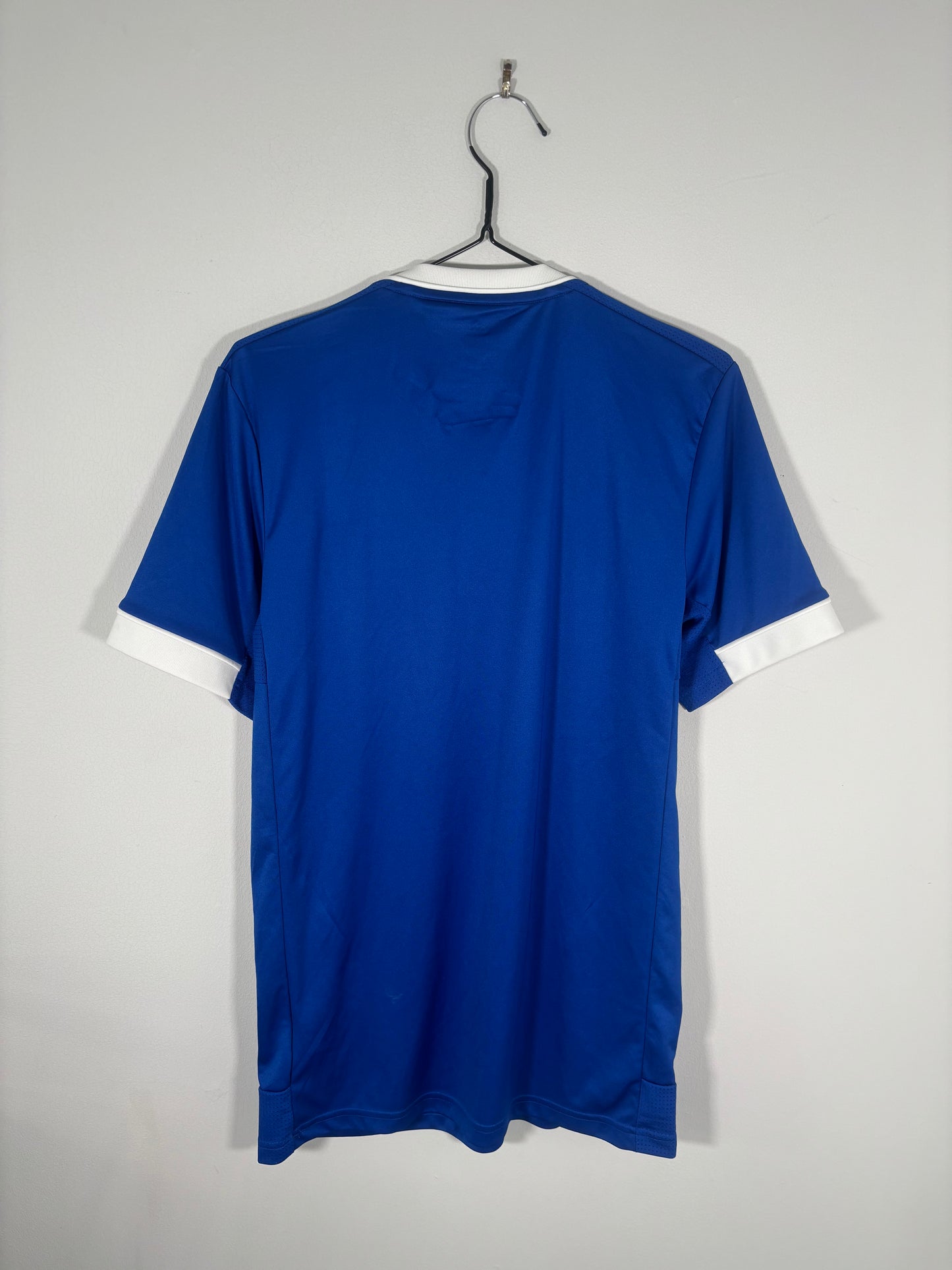 Ipswich Town Home Shirt 2020/21 (S)