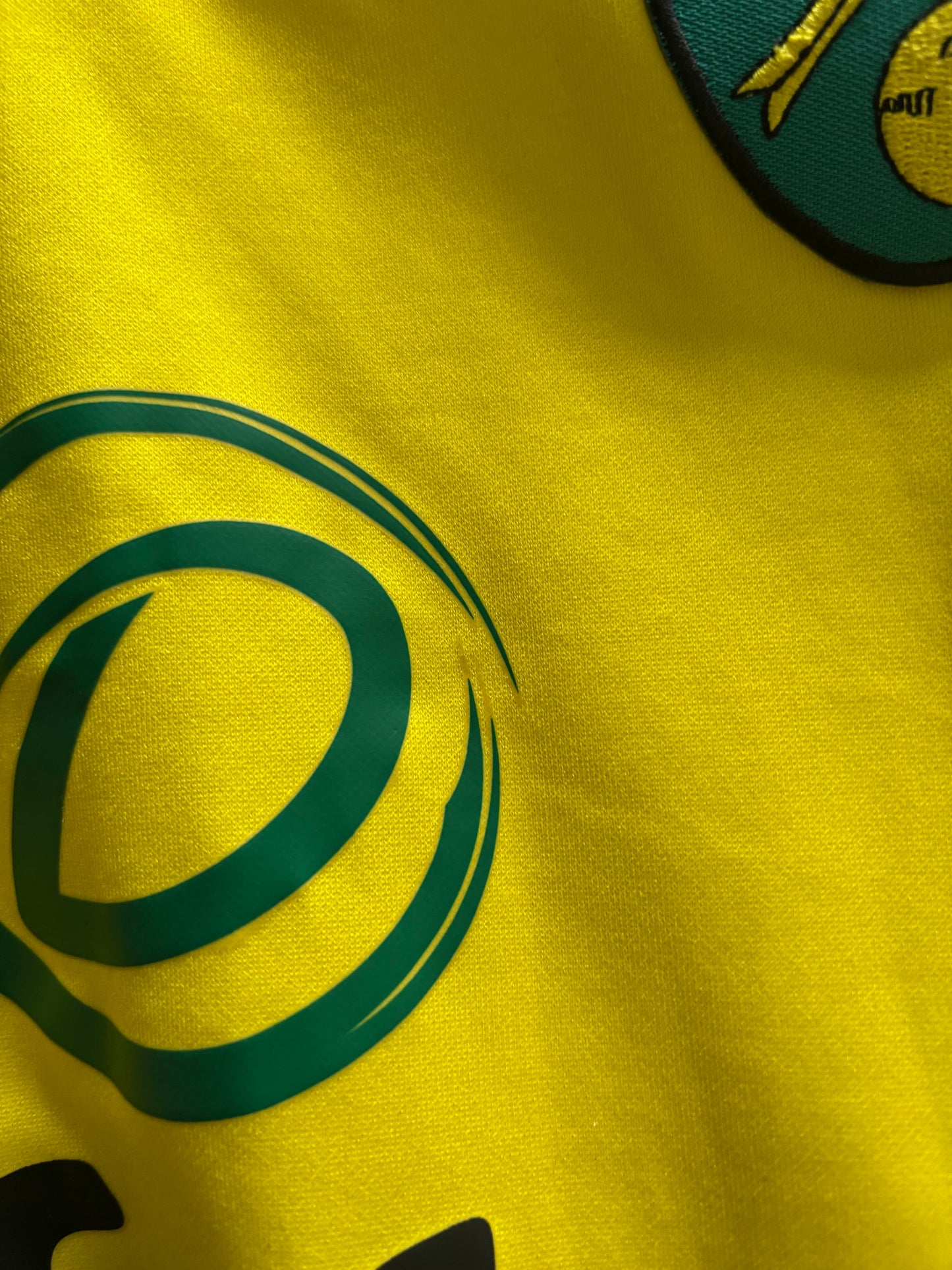 Norwich City Home Shirt 2019/20 (M)