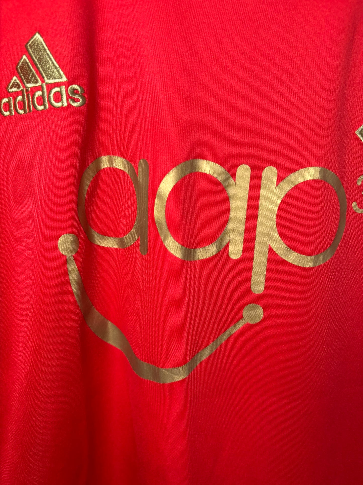 Southampton Home Shirt 2013/14 (XL)