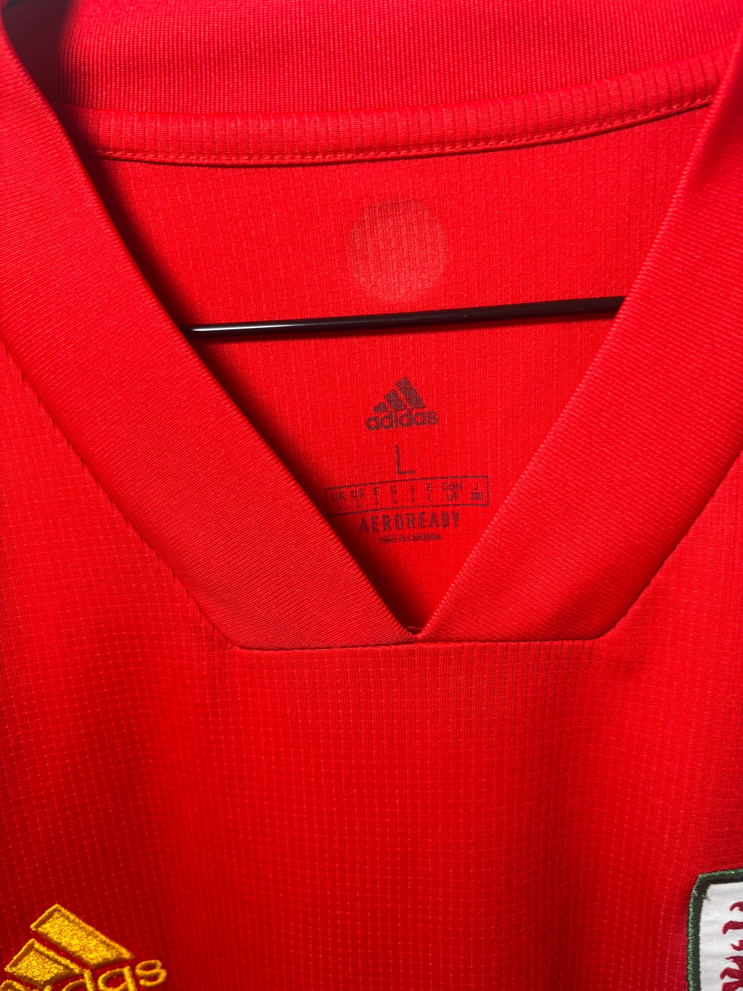 Wales Home Shirt 2020 (L)