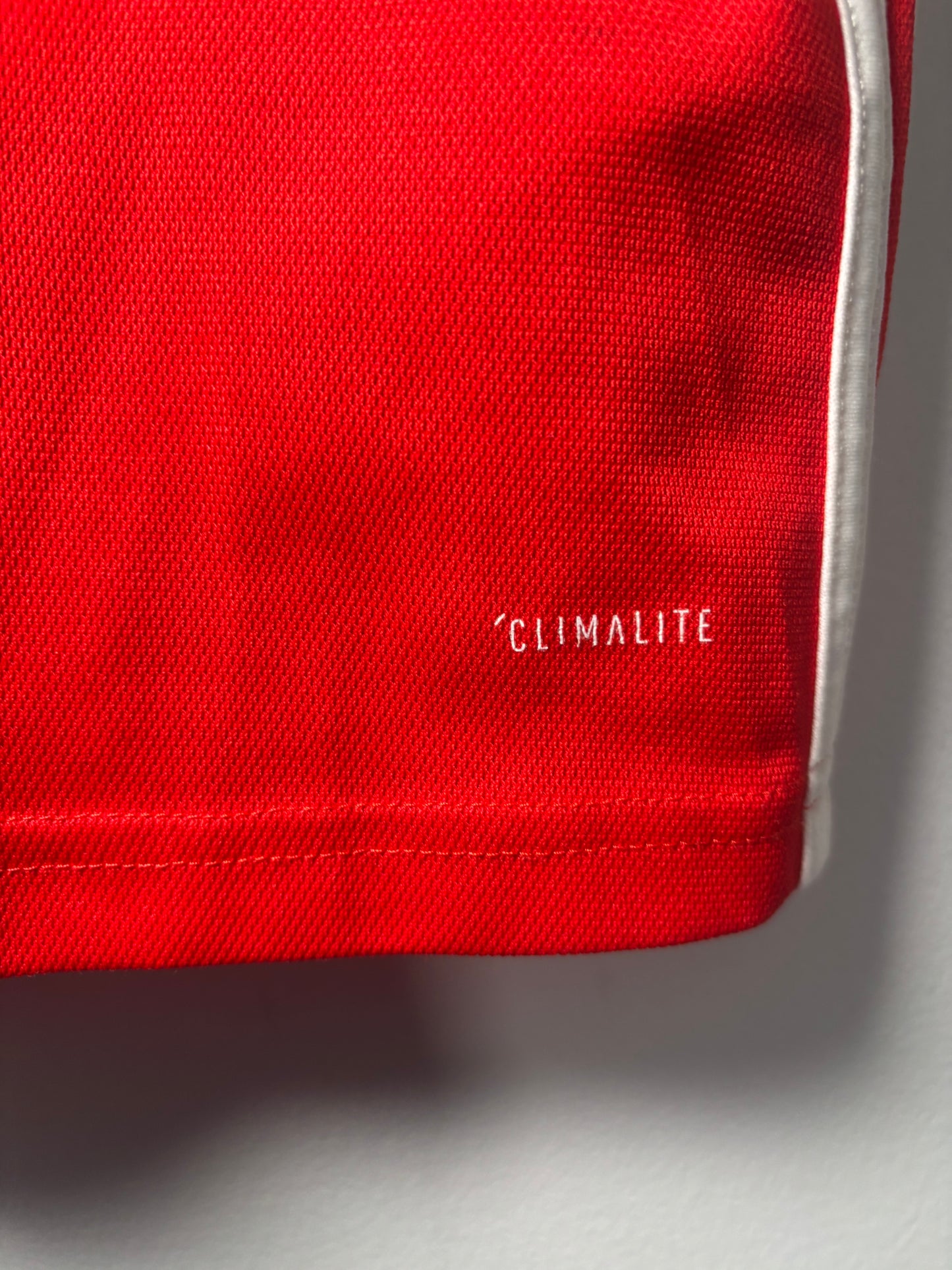 Wales Home Shirt 2018 (M)