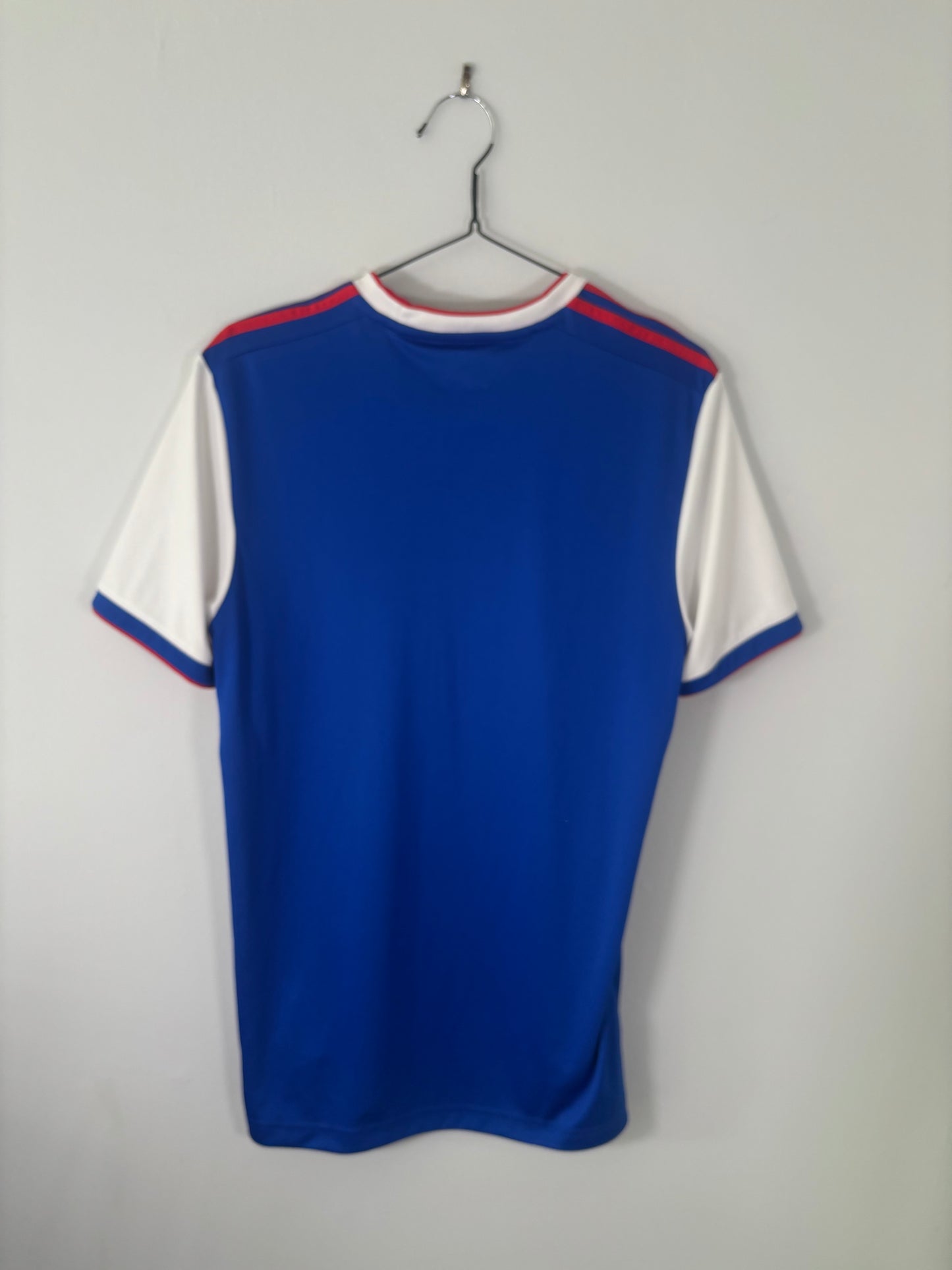 Ipswich Town Home Shirt 2018/19 (M)