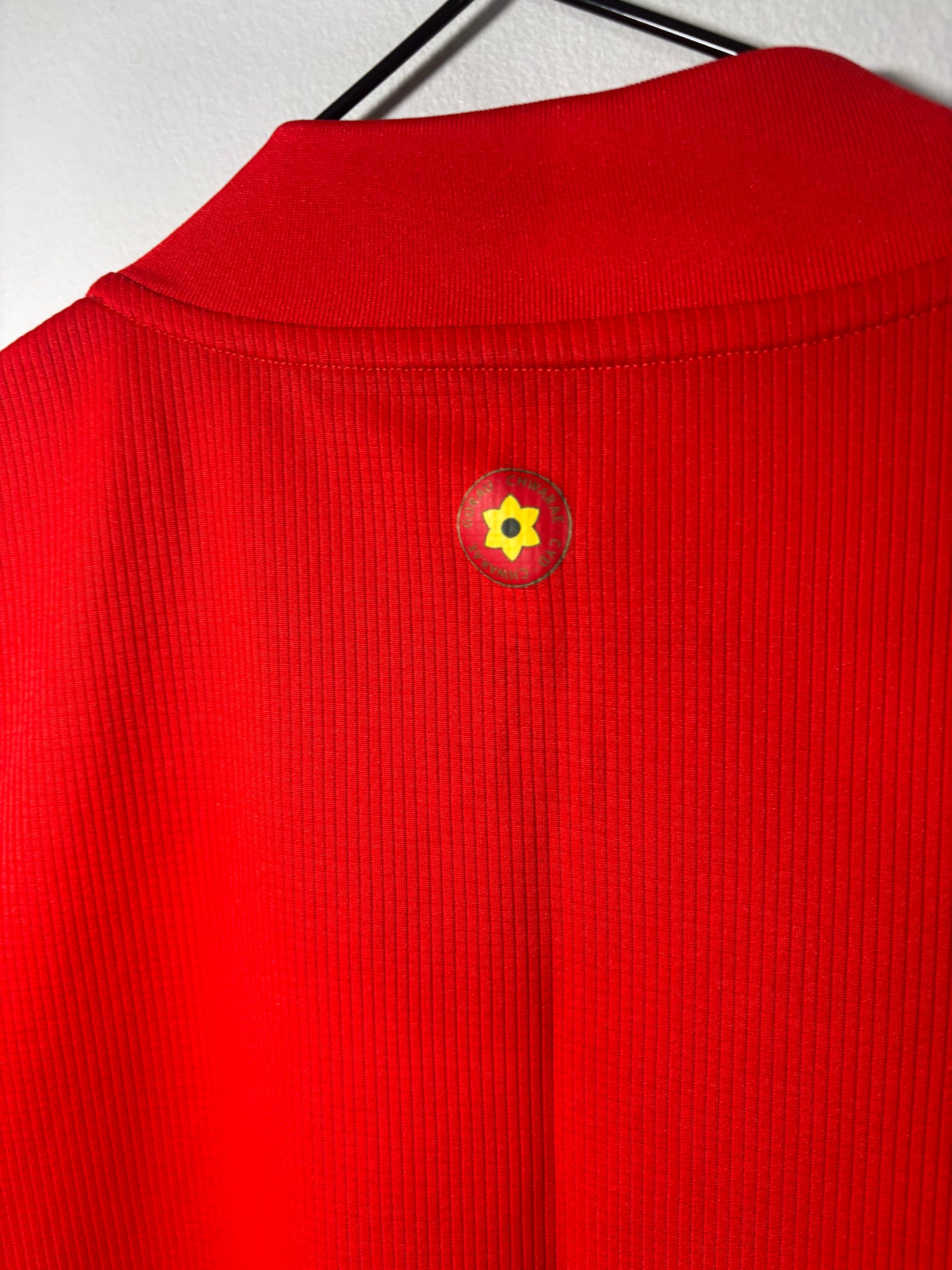 Wales Home Shirt 2020 (M)