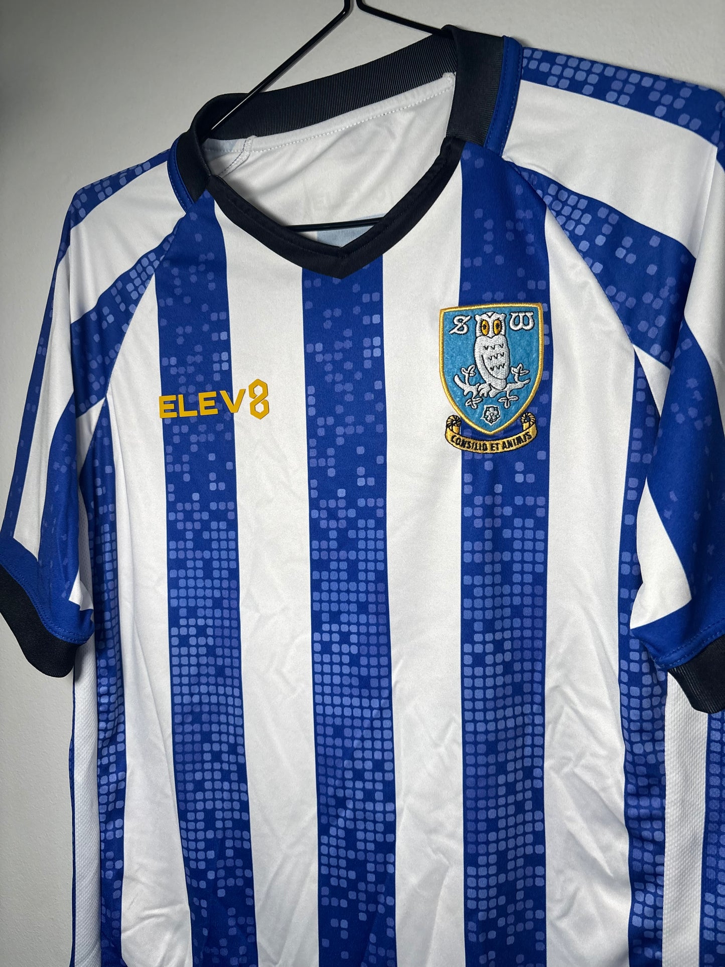 Sheffield Wednesday Home Shirt 2019/20 (S)