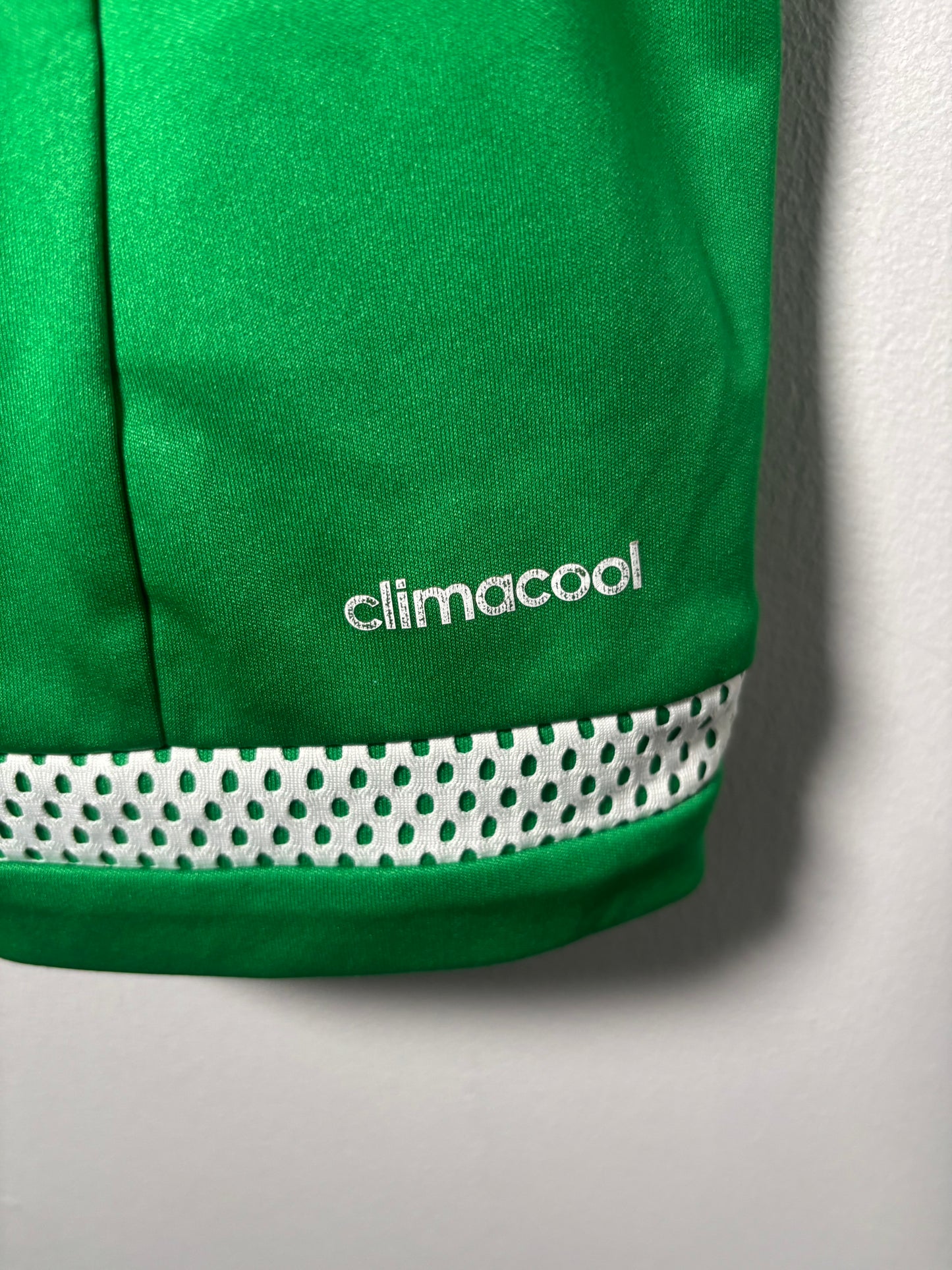 Northern Ireland Home Shirt 2015 (M)