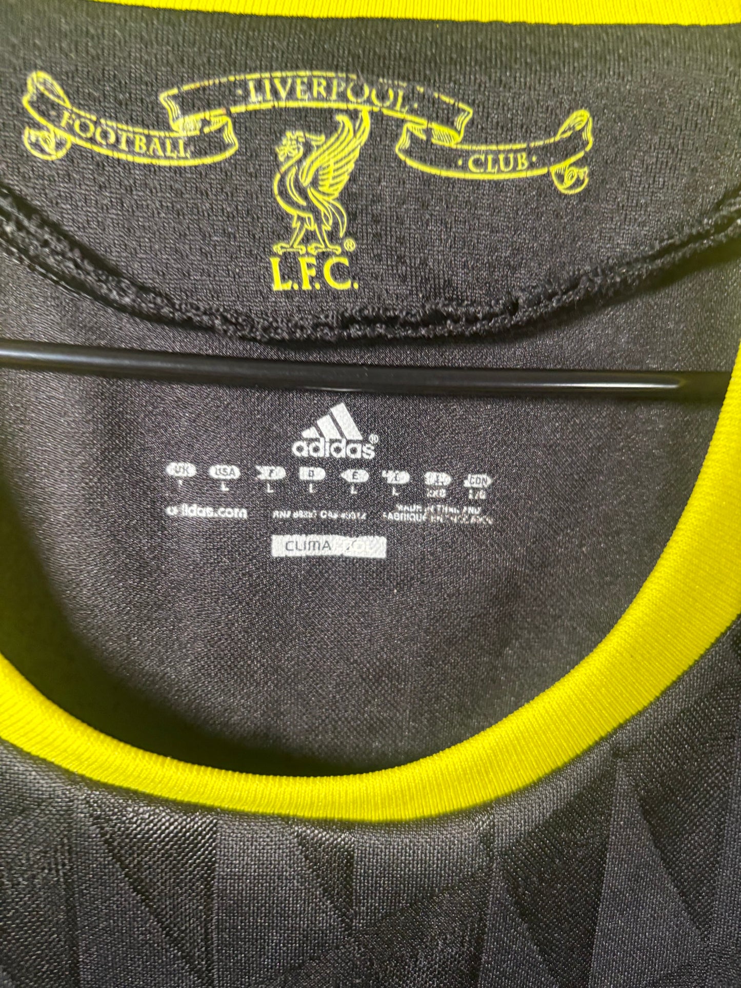 Liverpool Third Shirt 2010/11 Joe Cole (L)