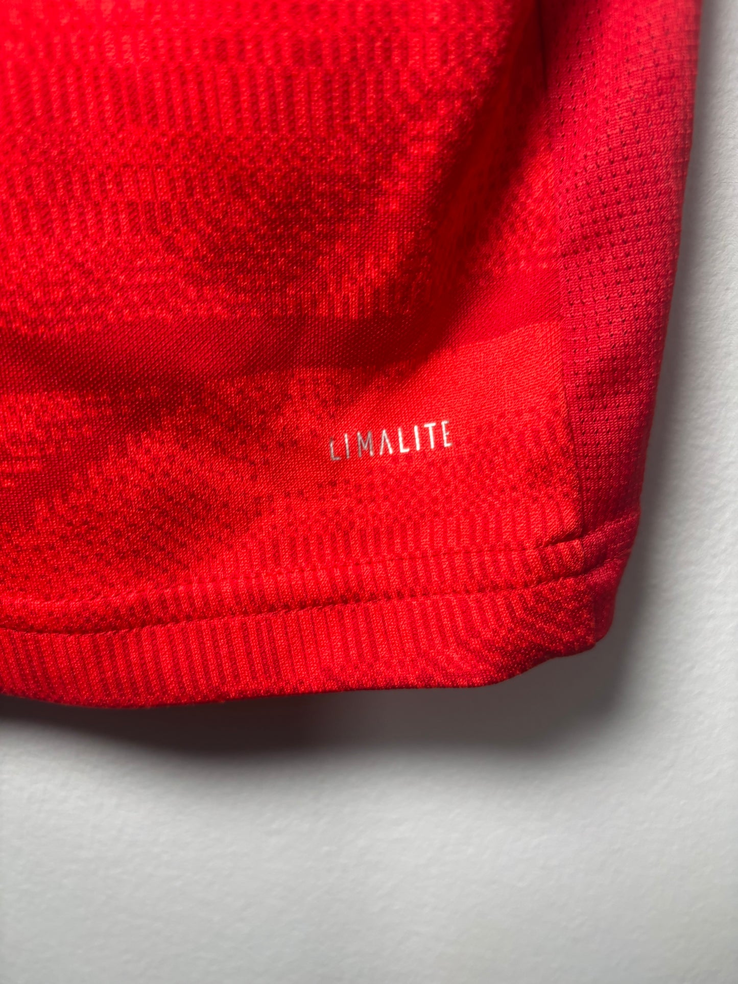 Bayern Munich Home Shirt 2019/20 (L)
