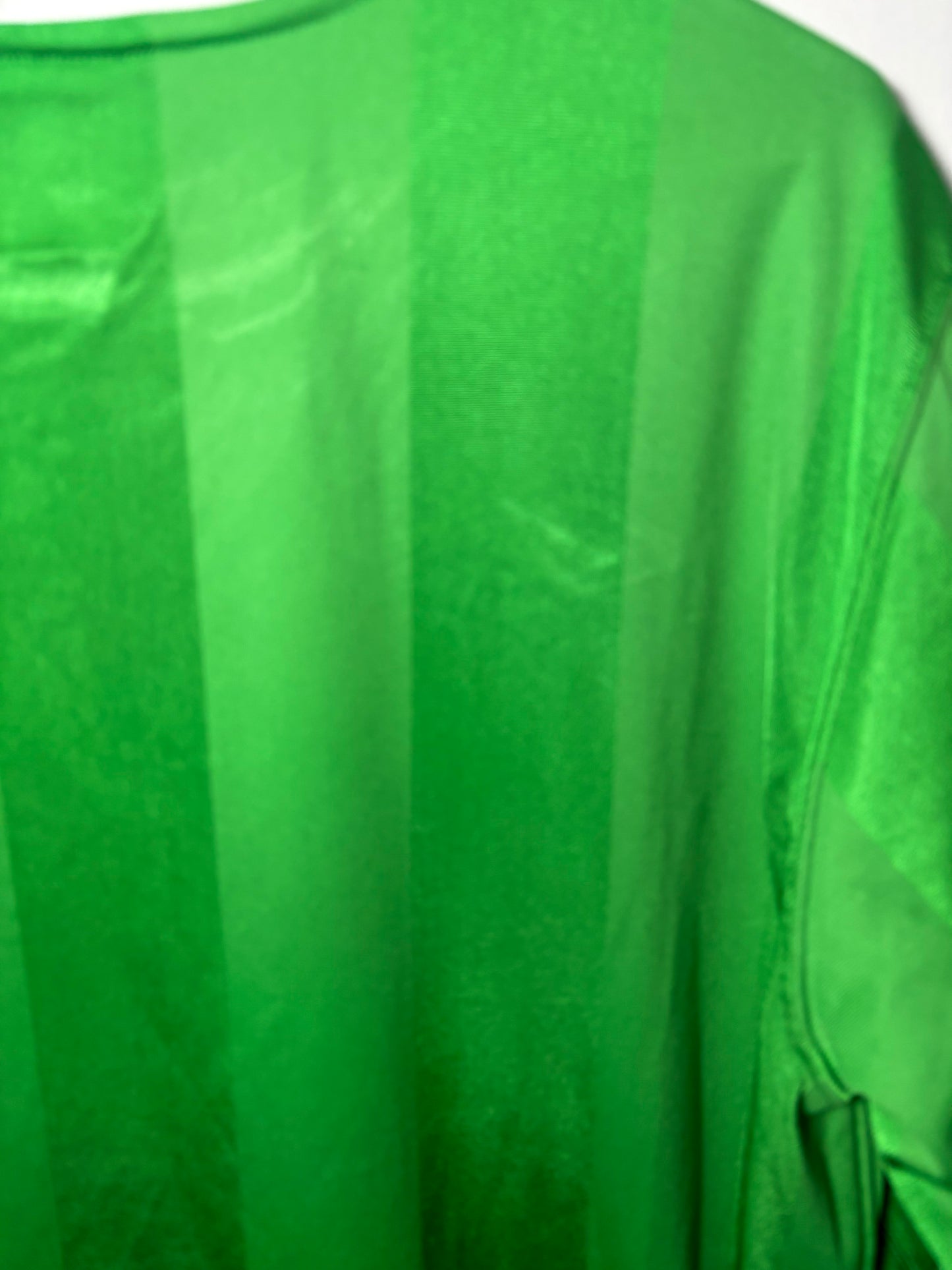 Northern Ireland Home Shirt 2010 (L)