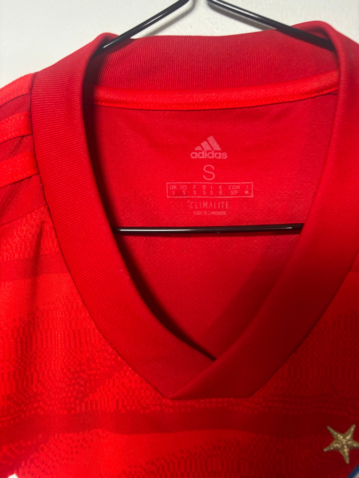 Bayern Munich Home Shirt 2019/20 (S)