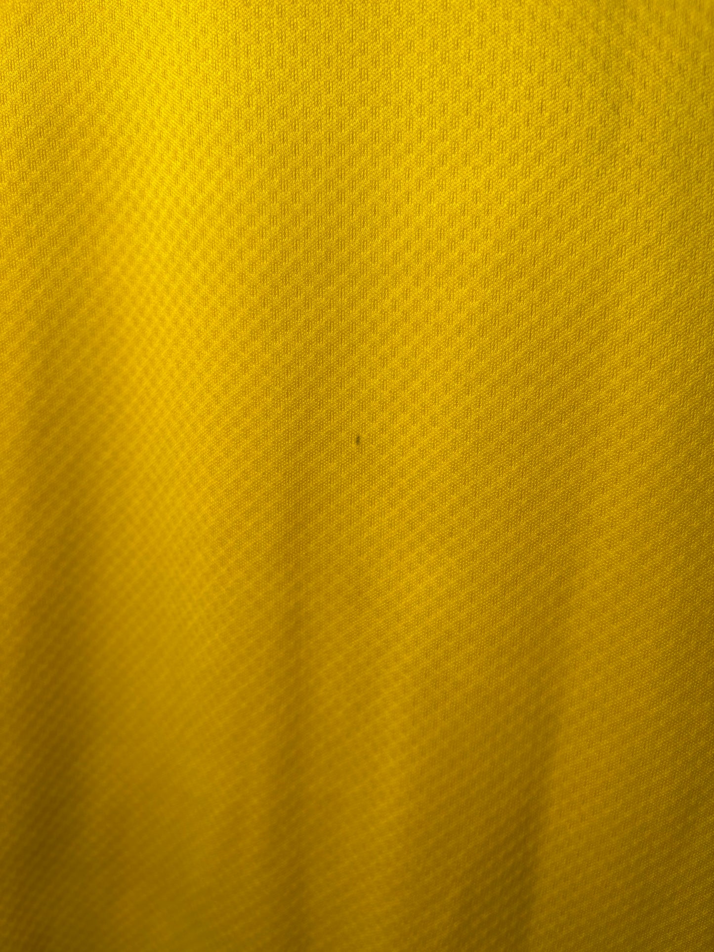 Borussia Dortmund Home Shirt 2021/22 (S)
