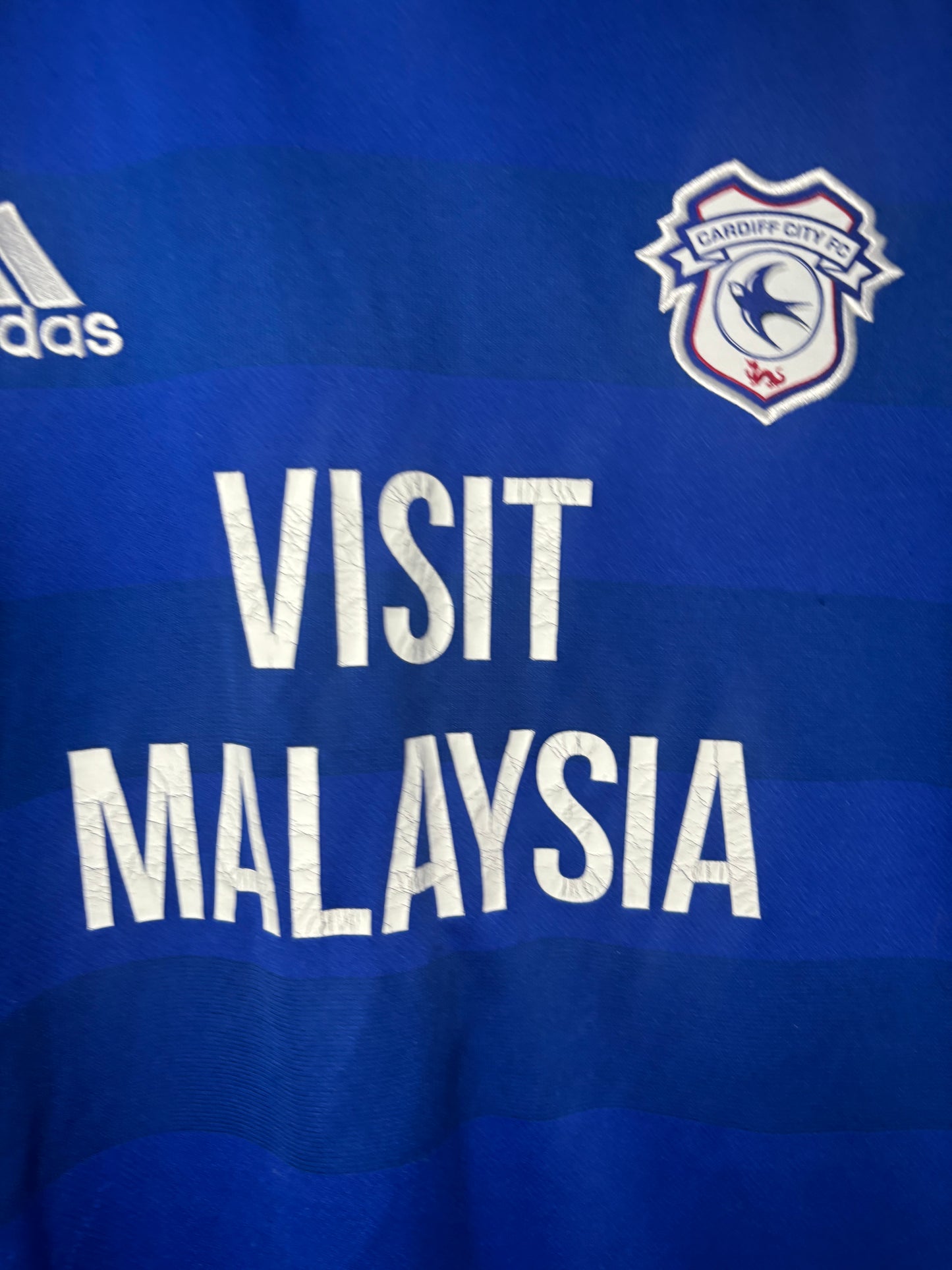 Cardiff City Home Shirt 2018/19 Danny Ward (L)