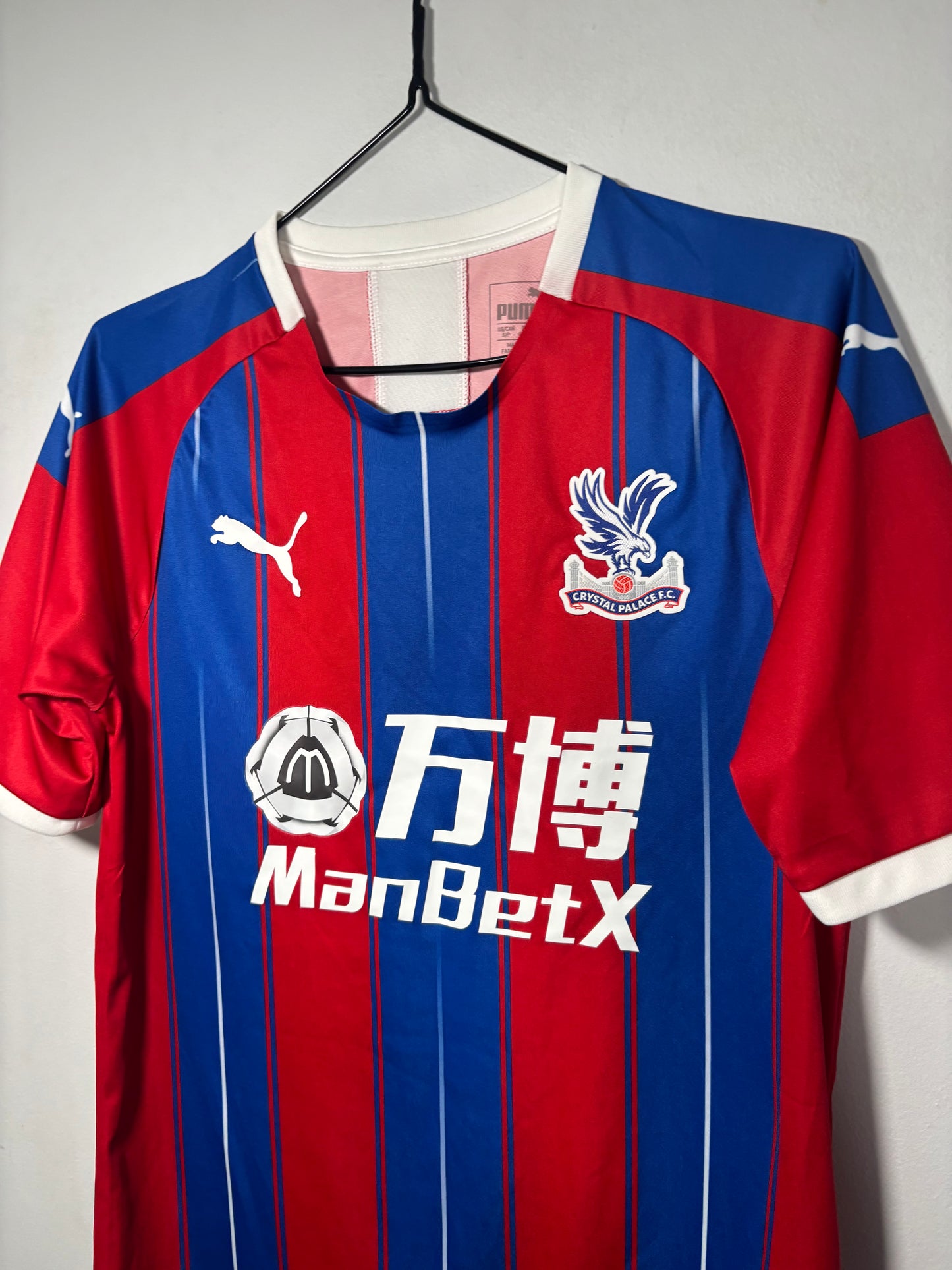 Crystal Palace Home Shirt 2019/20 (S)