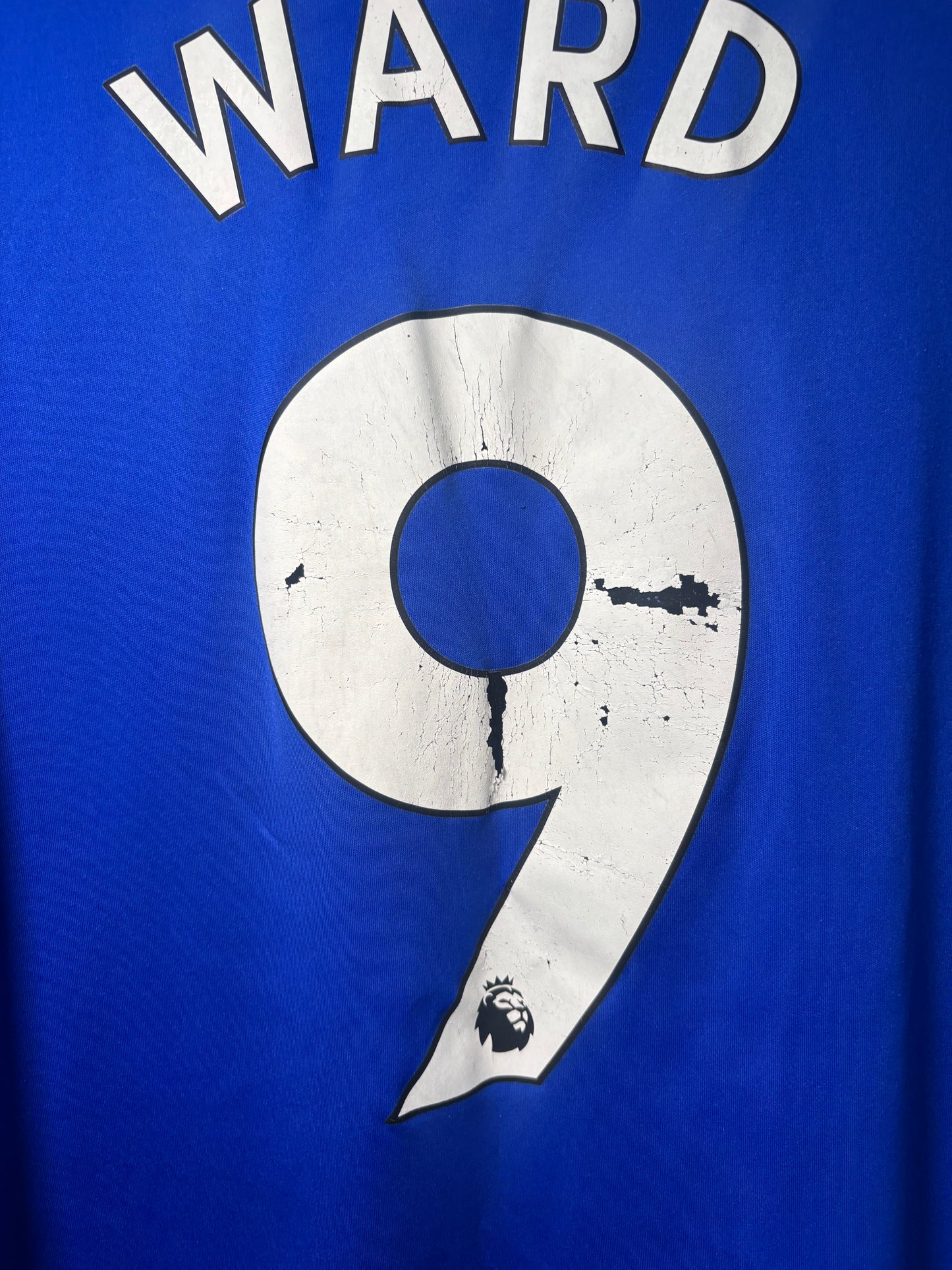Cardiff City Home Shirt 2018/19 Danny Ward (L)