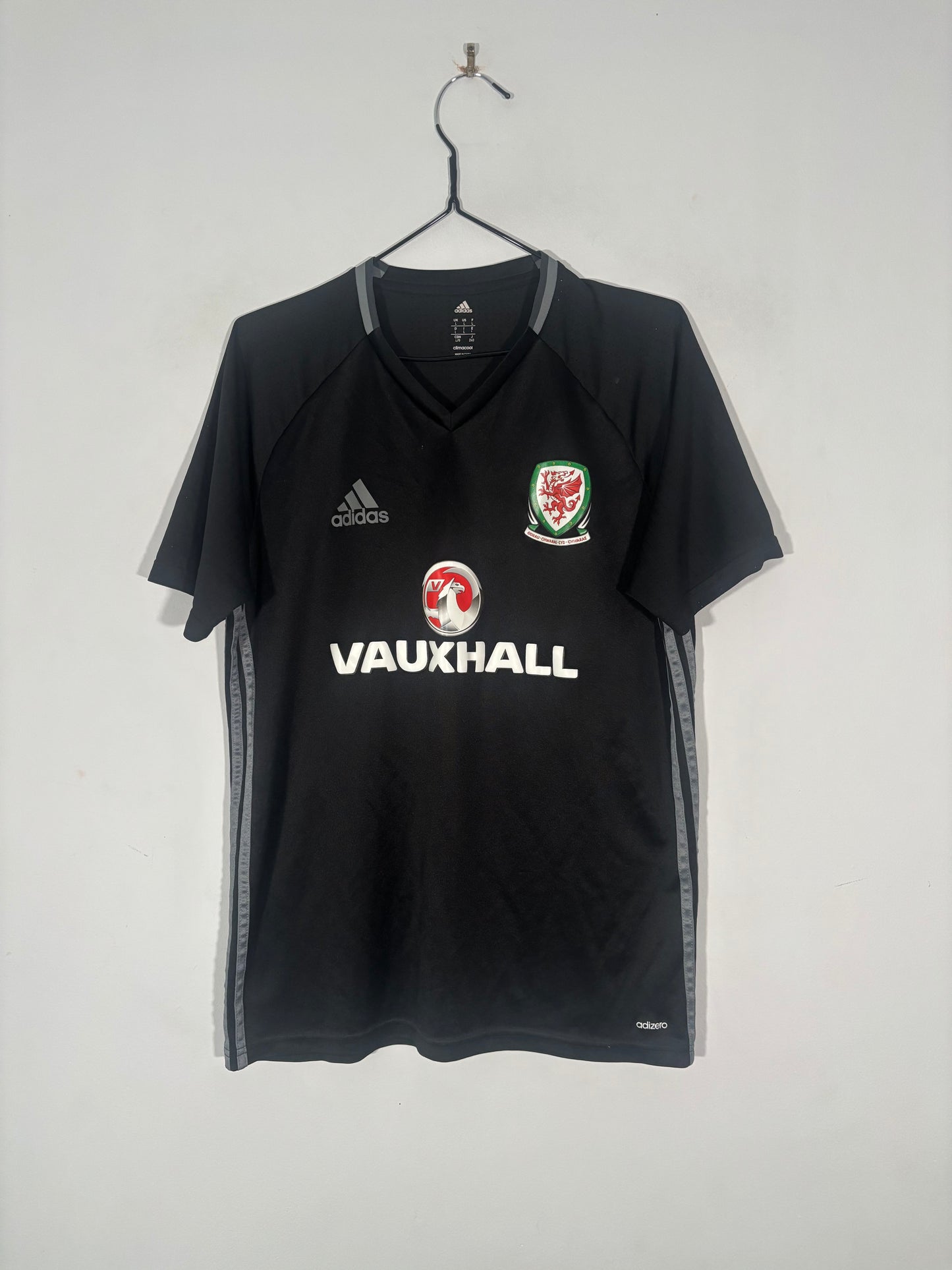 Wales Training Shirt (L)