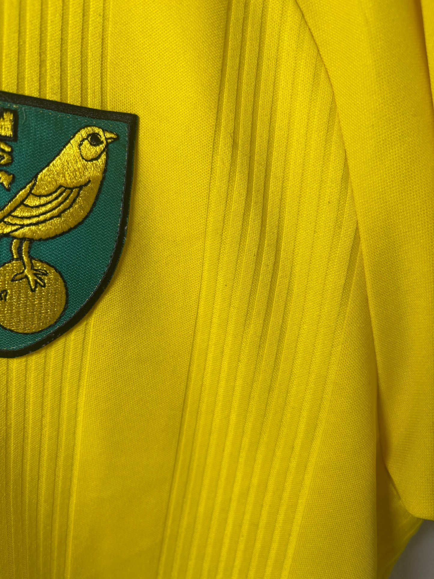 Norwich City Home Shirt 2020/21 (M)