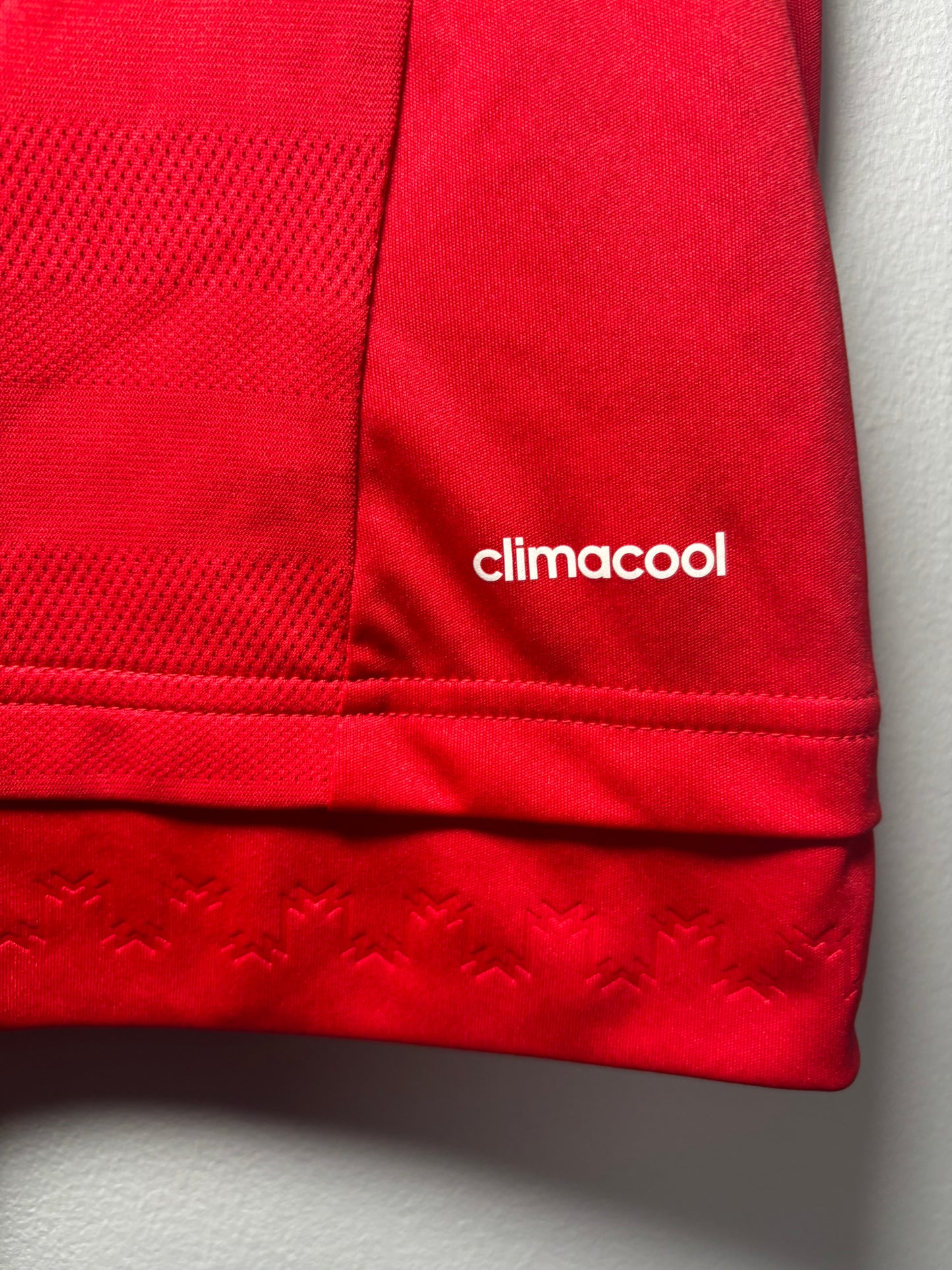 Manchester United Signed Home Shirt 2015/16 (L)