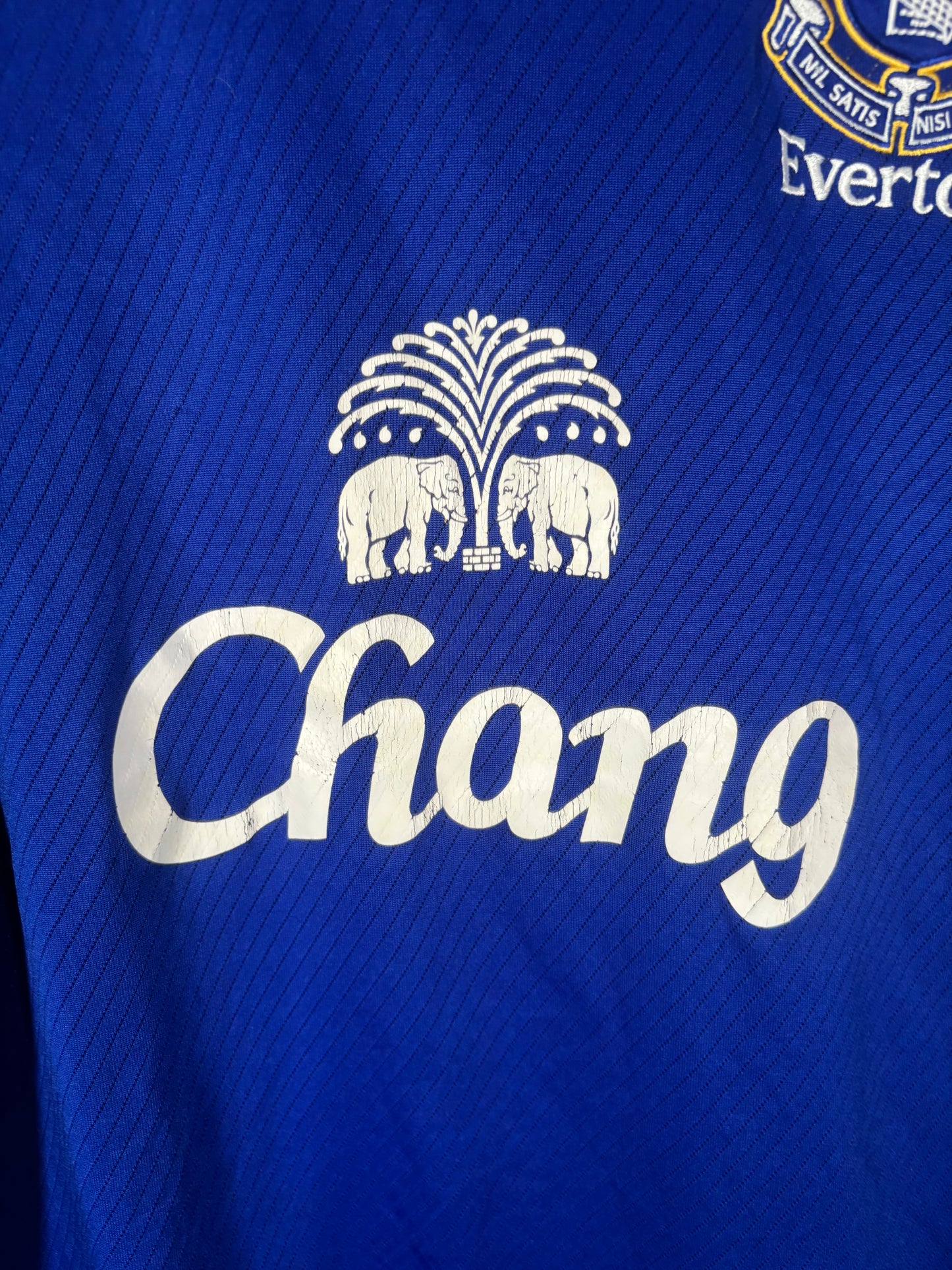 Everton Home Shirt 2008/09 (M)