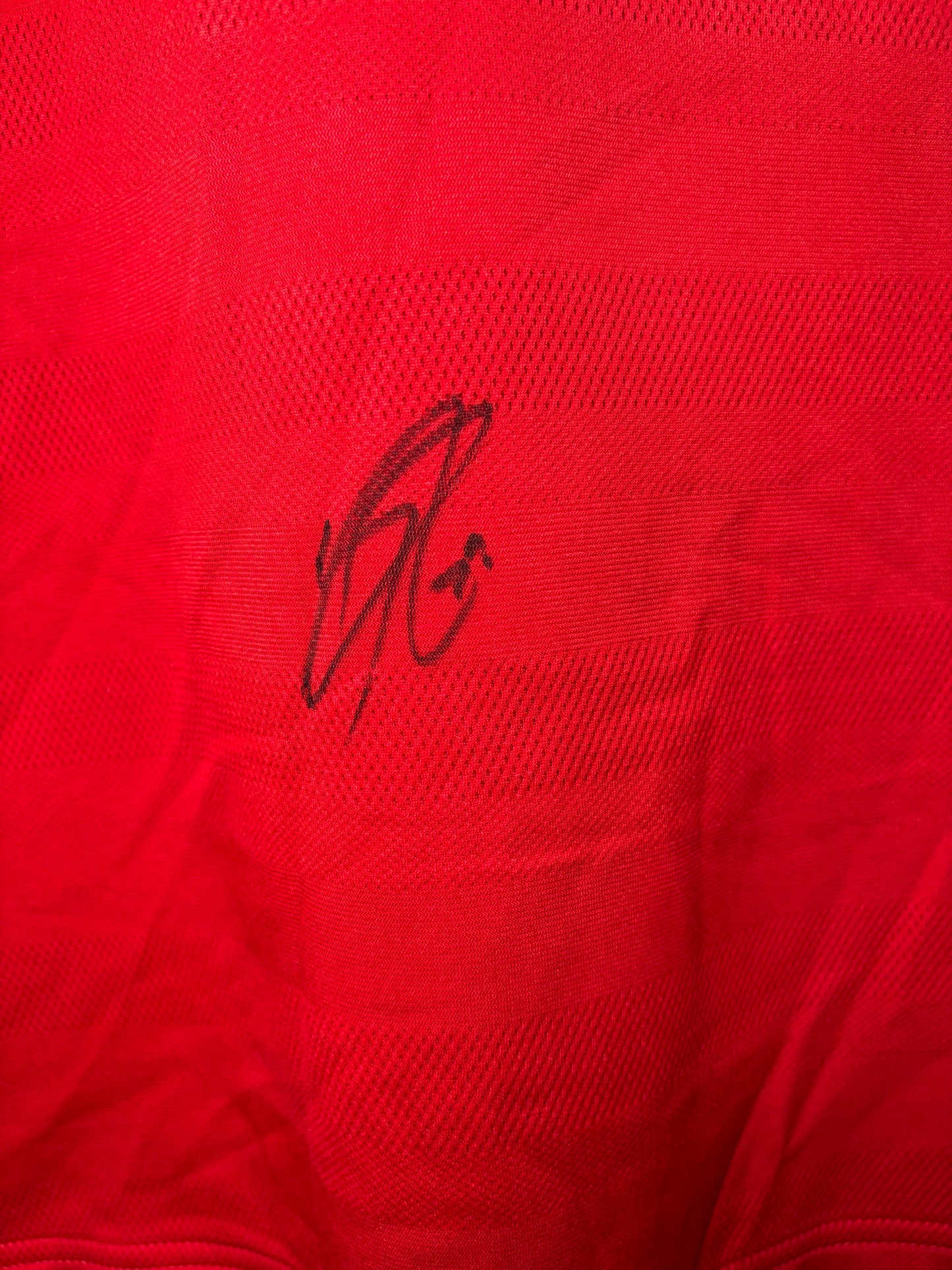 Manchester United Signed Home Shirt 2015/16 (L)