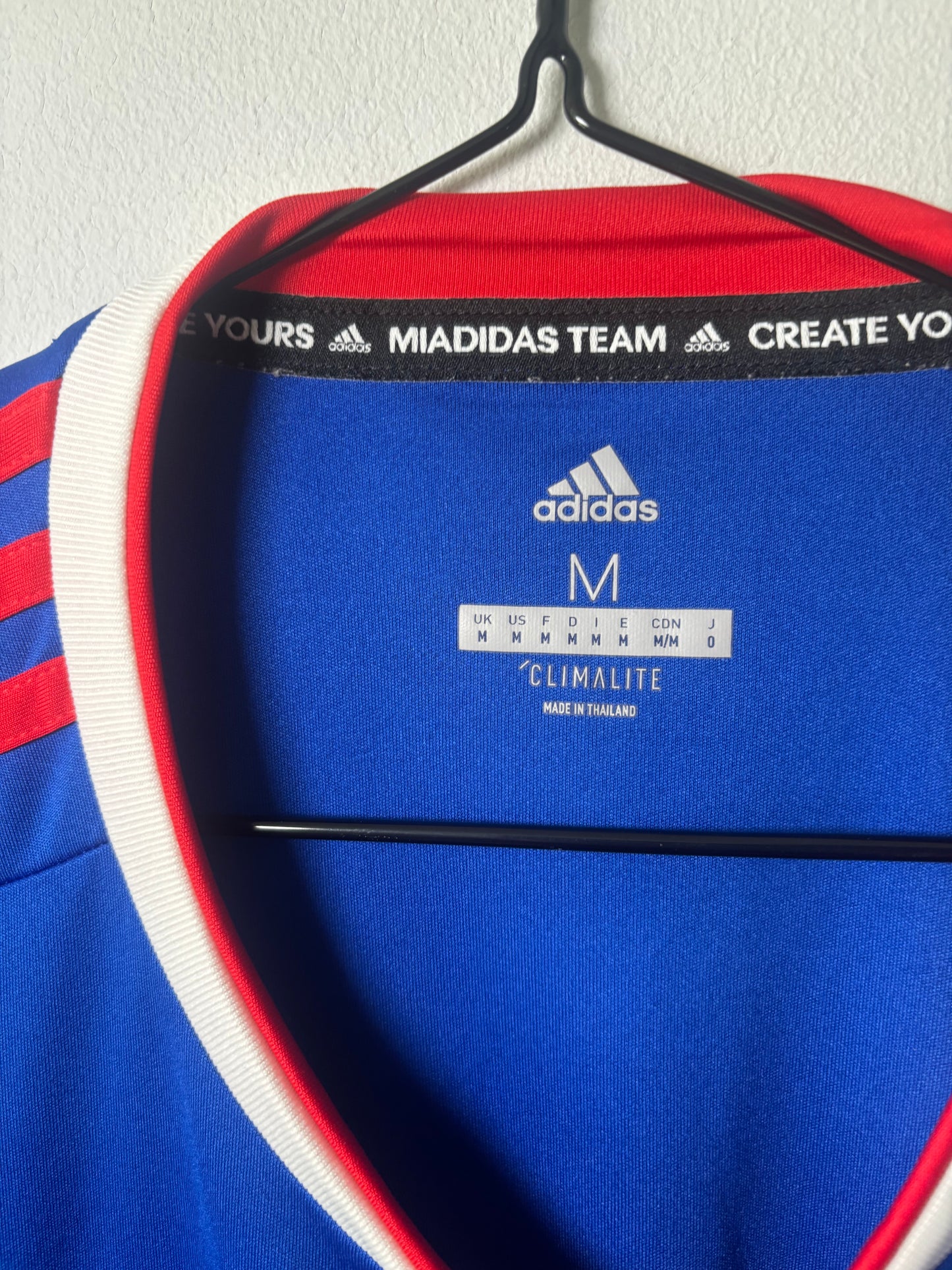 Ipswich Town Home Shirt 2018/19 (M)