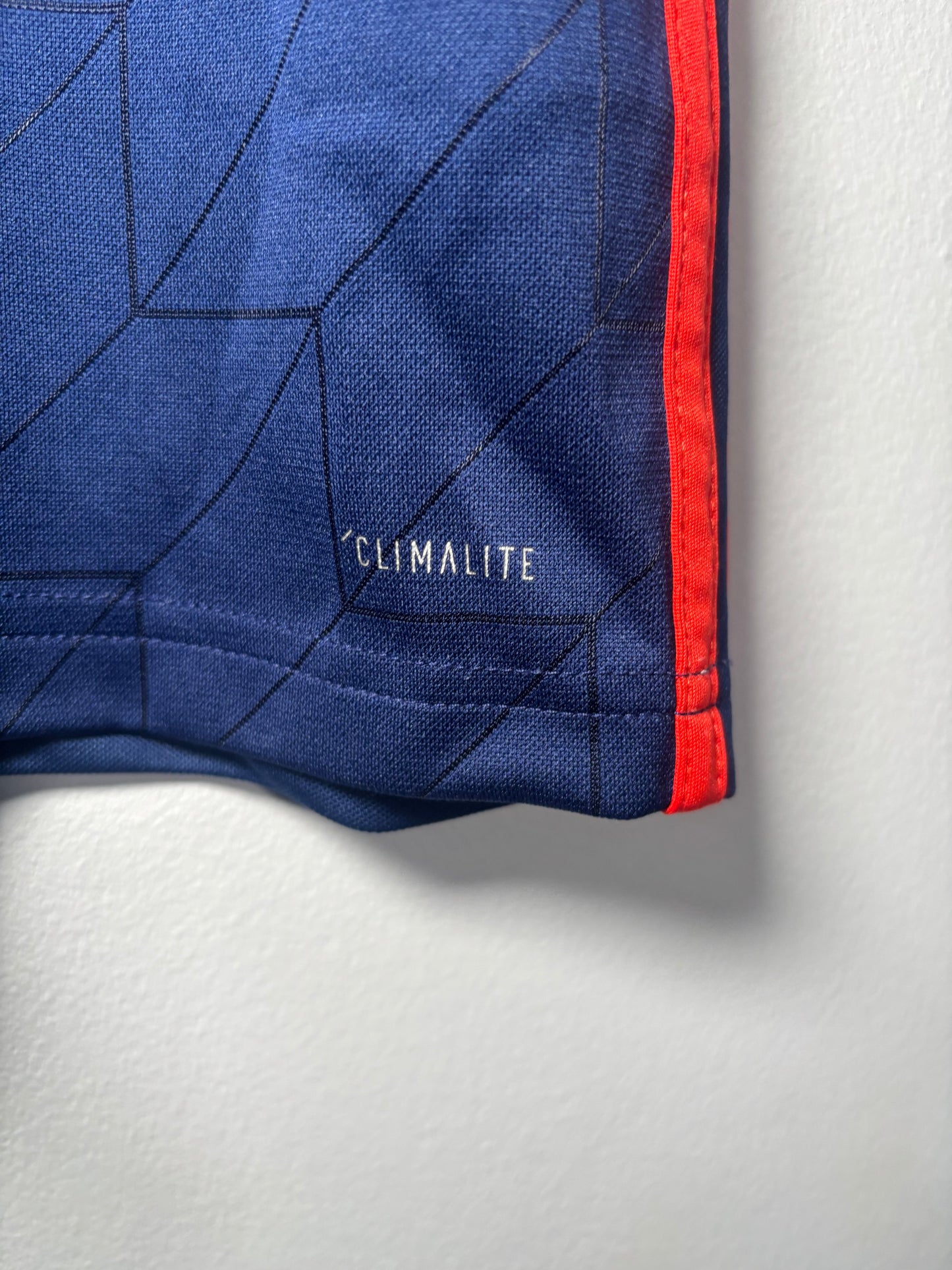 Lyon Away Shirt 2018/19 (M)