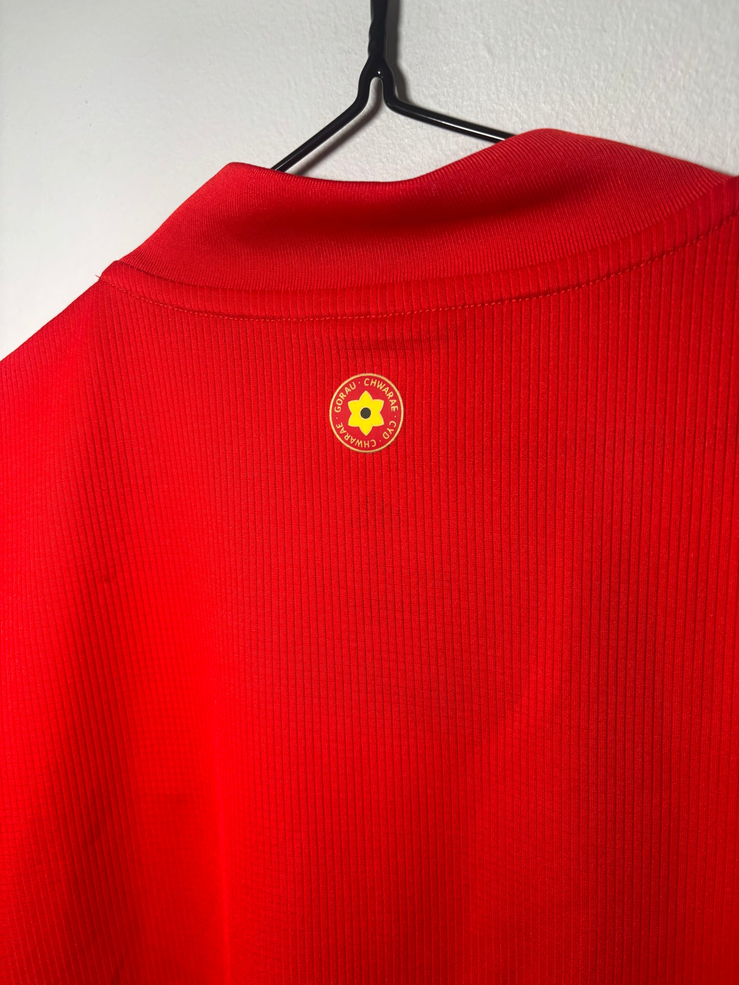 Wales Home Shirt 2020 (S)