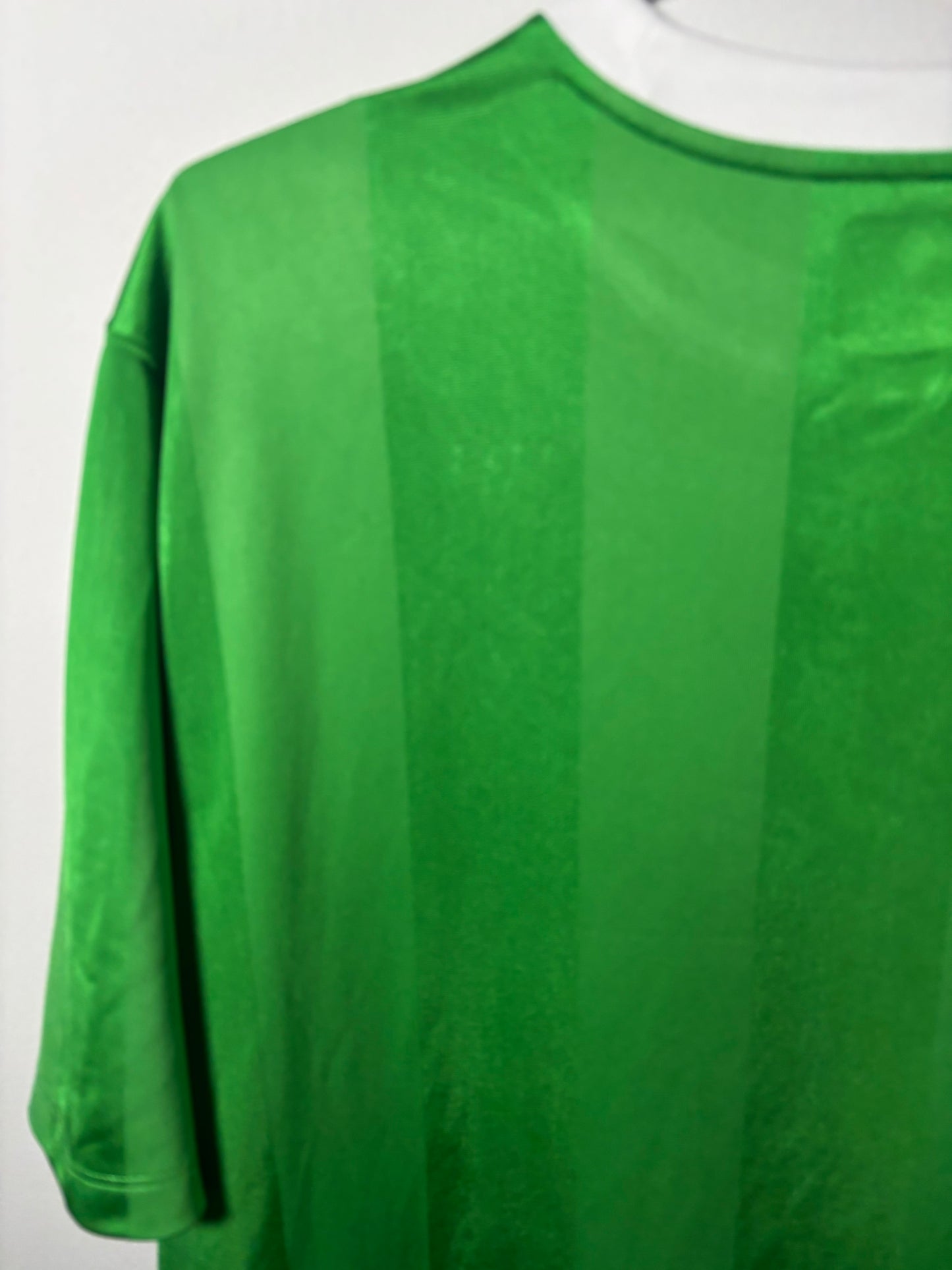 Northern Ireland Home Shirt 2010 (L)