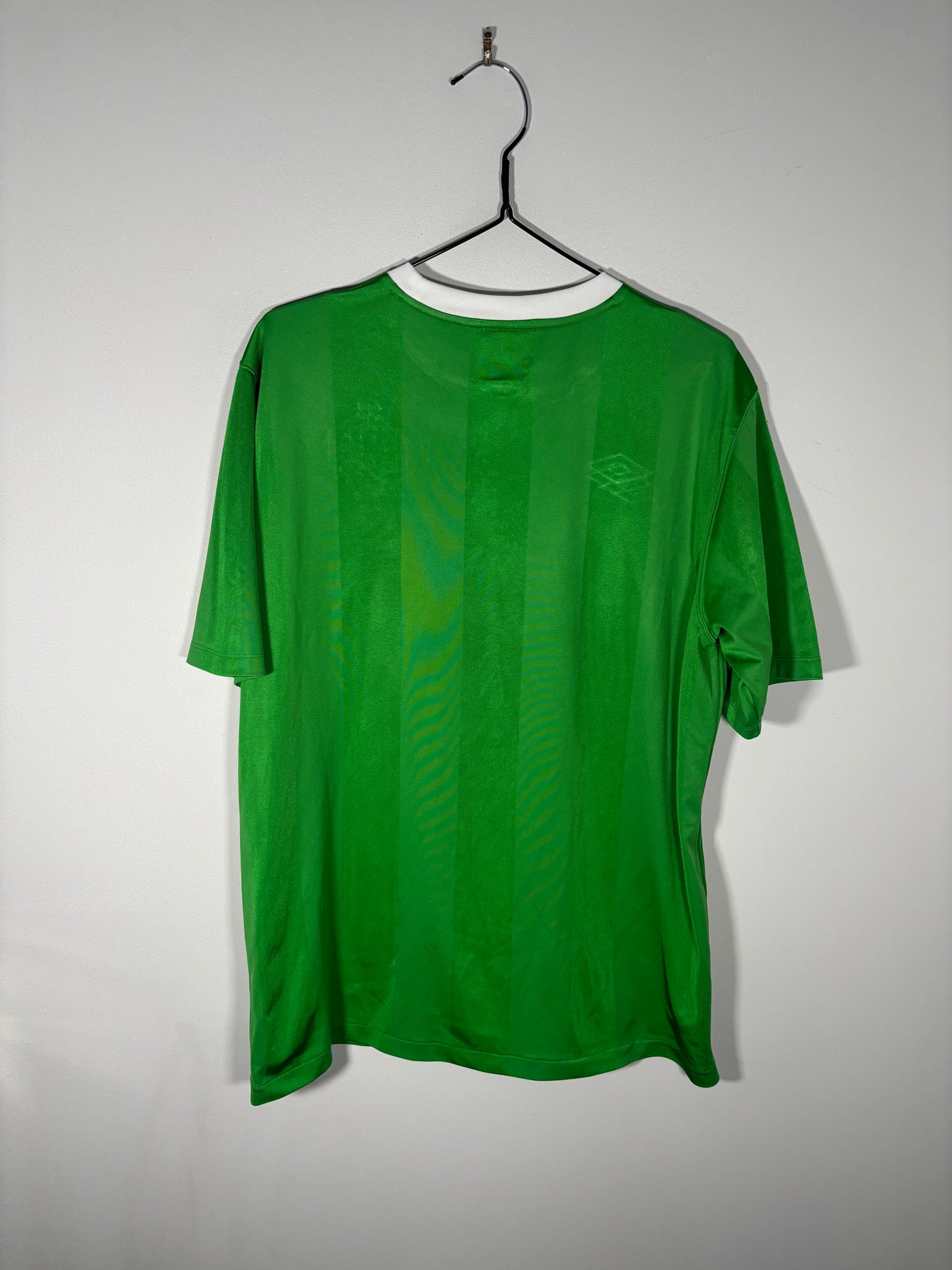Northern Ireland Home Shirt 2010 (L)