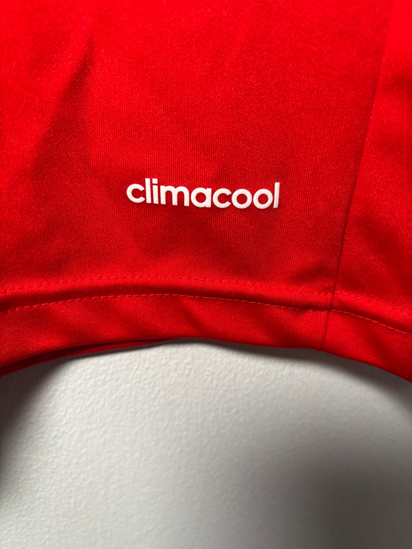 Southampton Home Shirt 2013/14 (L)