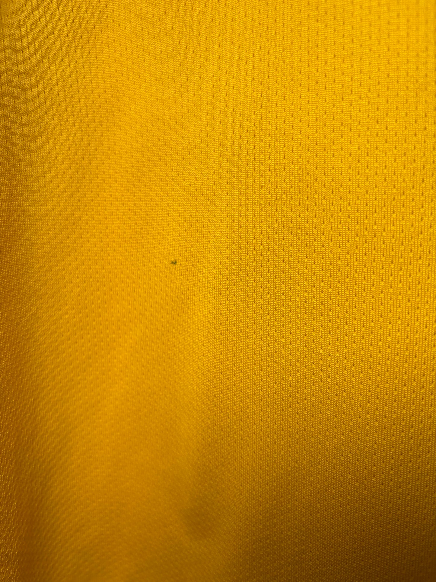 Celtic Away Shirt 2019/20 (S)