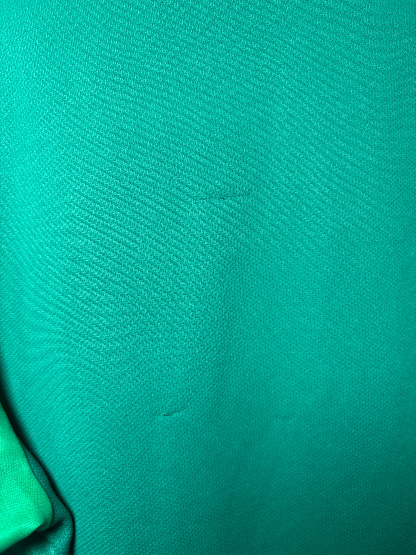 Werder Bremen Home Shirt 2021/22 (M)