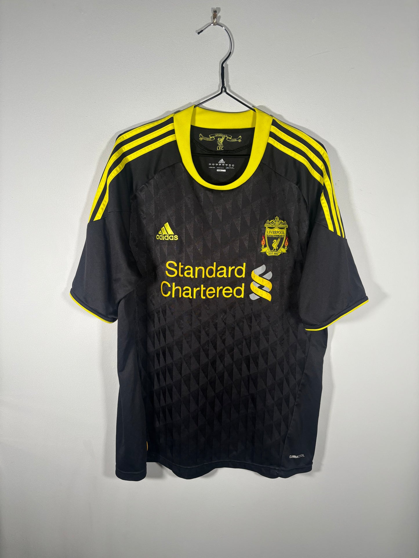 Liverpool Third Shirt 2010/11 Joe Cole (L)