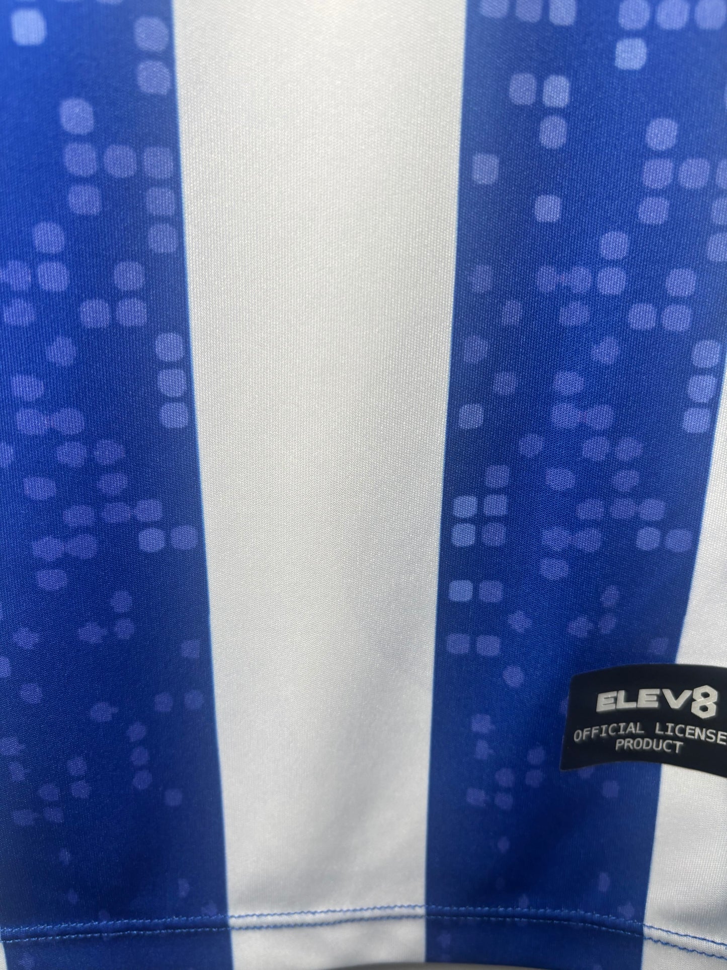 Sheffield Wednesday Home Shirt 2019/20 (S)
