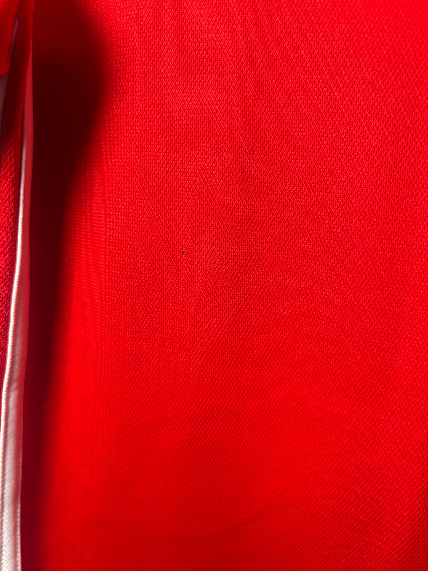 Wales Home Shirt 2018 (S)