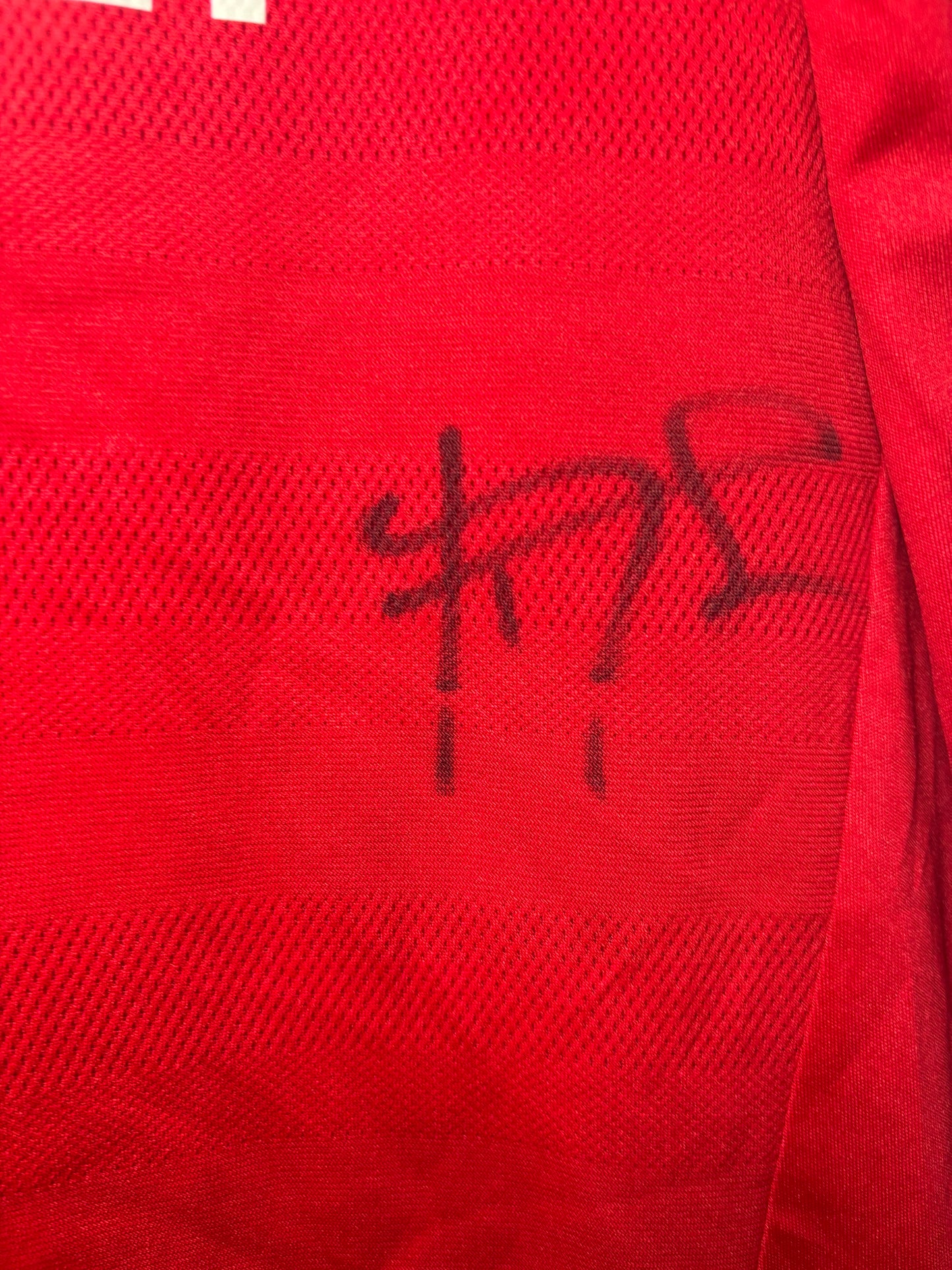 Manchester United Signed Home Shirt 2015/16 (L)