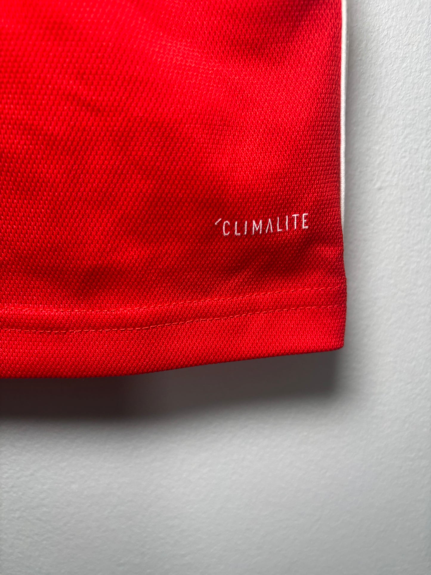 Wales Home Shirt 2018 (S)