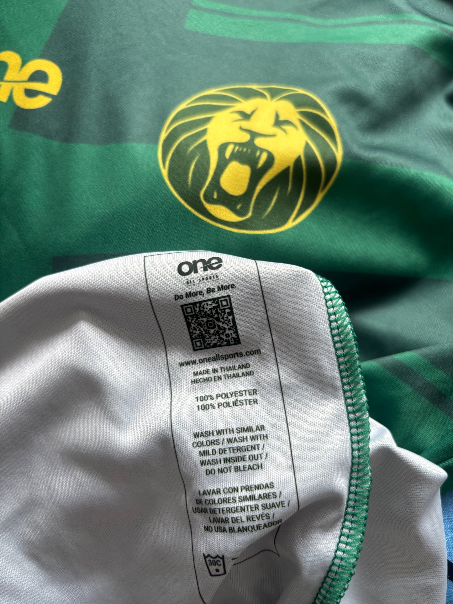 Cameroon Home Shirt 2022 (L)