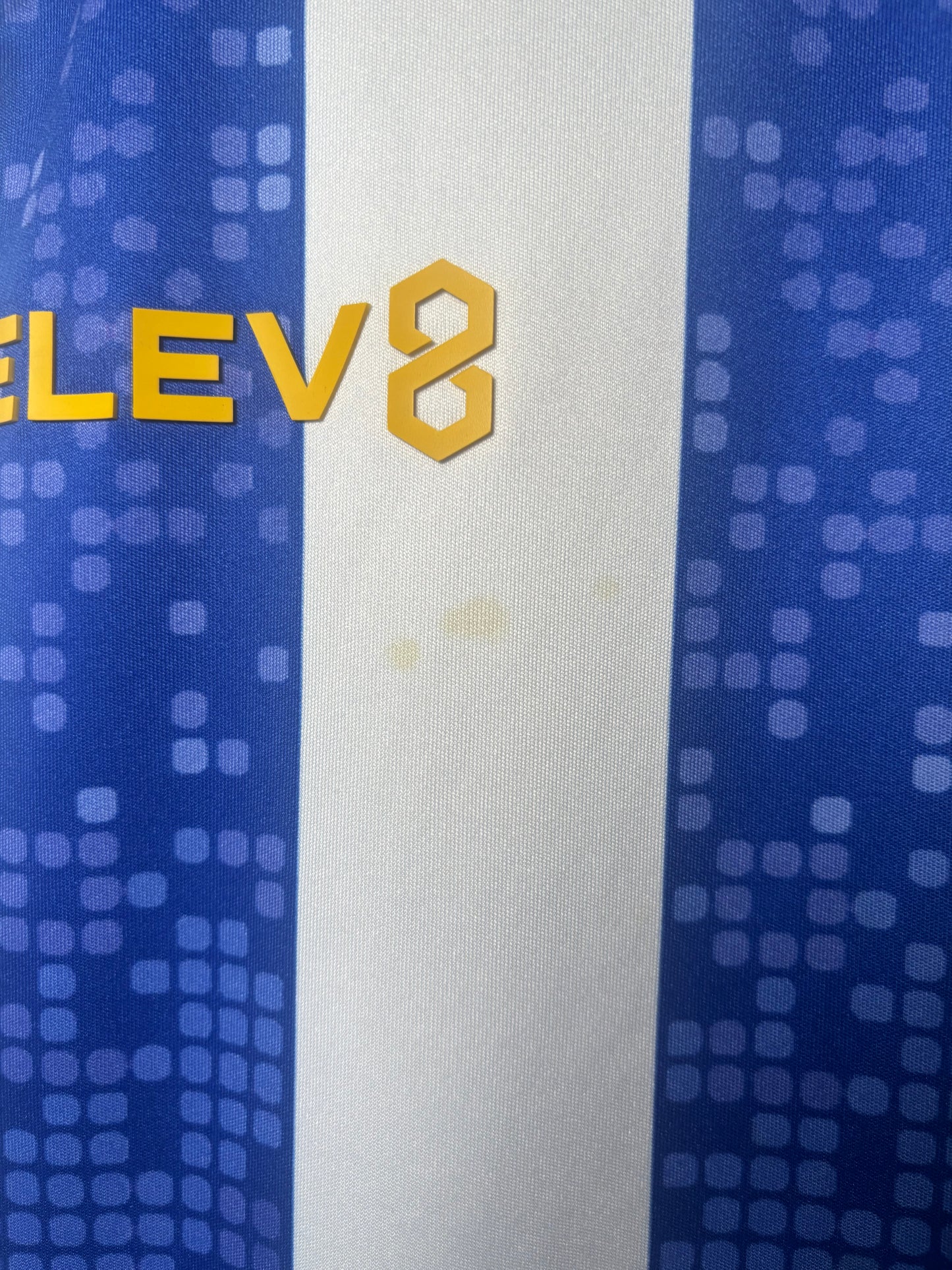 Sheffield Wednesday Home Shirt 2019/20 (S)