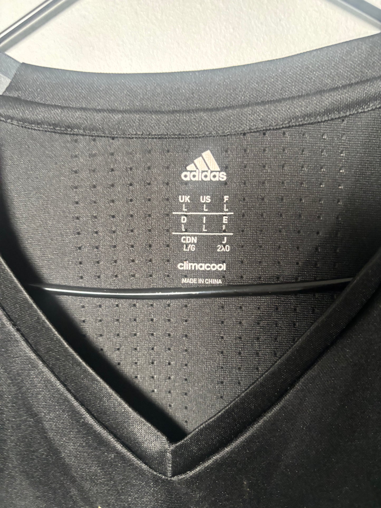Wales Training Shirt (L)
