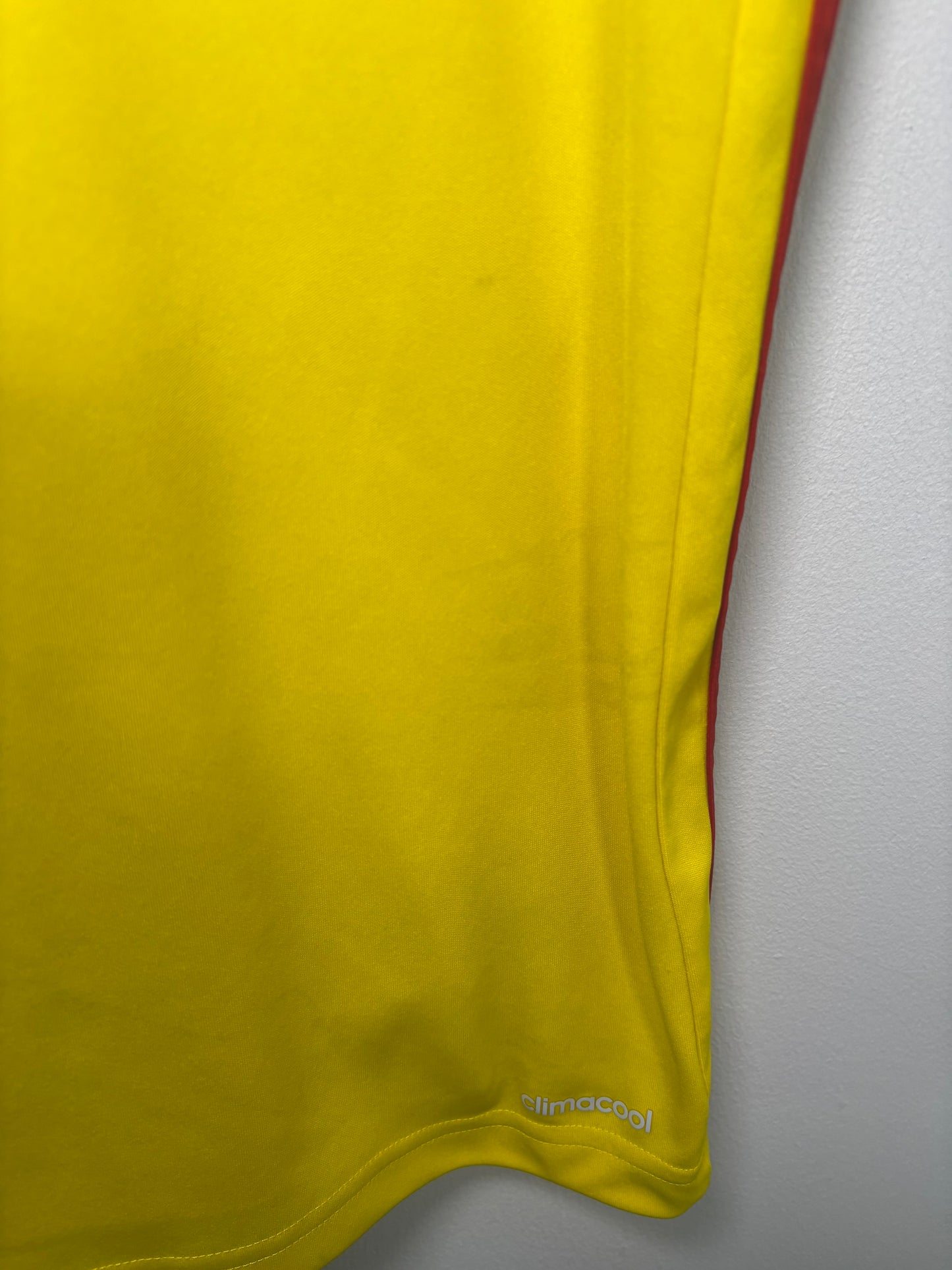 Watford Home Shirt 2017/18 (L)