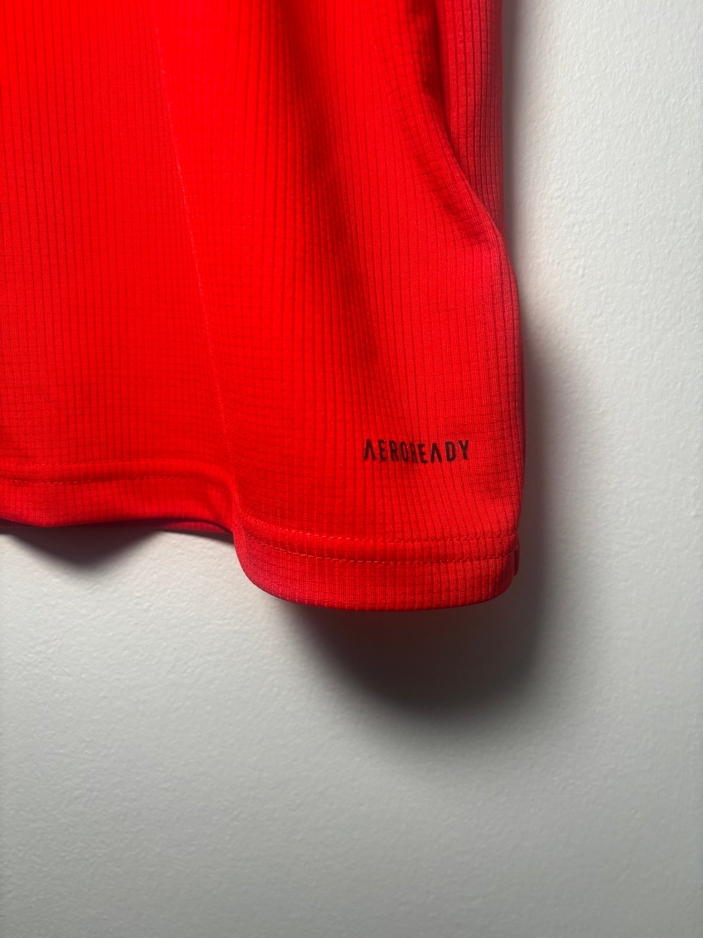 Wales Home Shirt 2020 Levitt (XS)