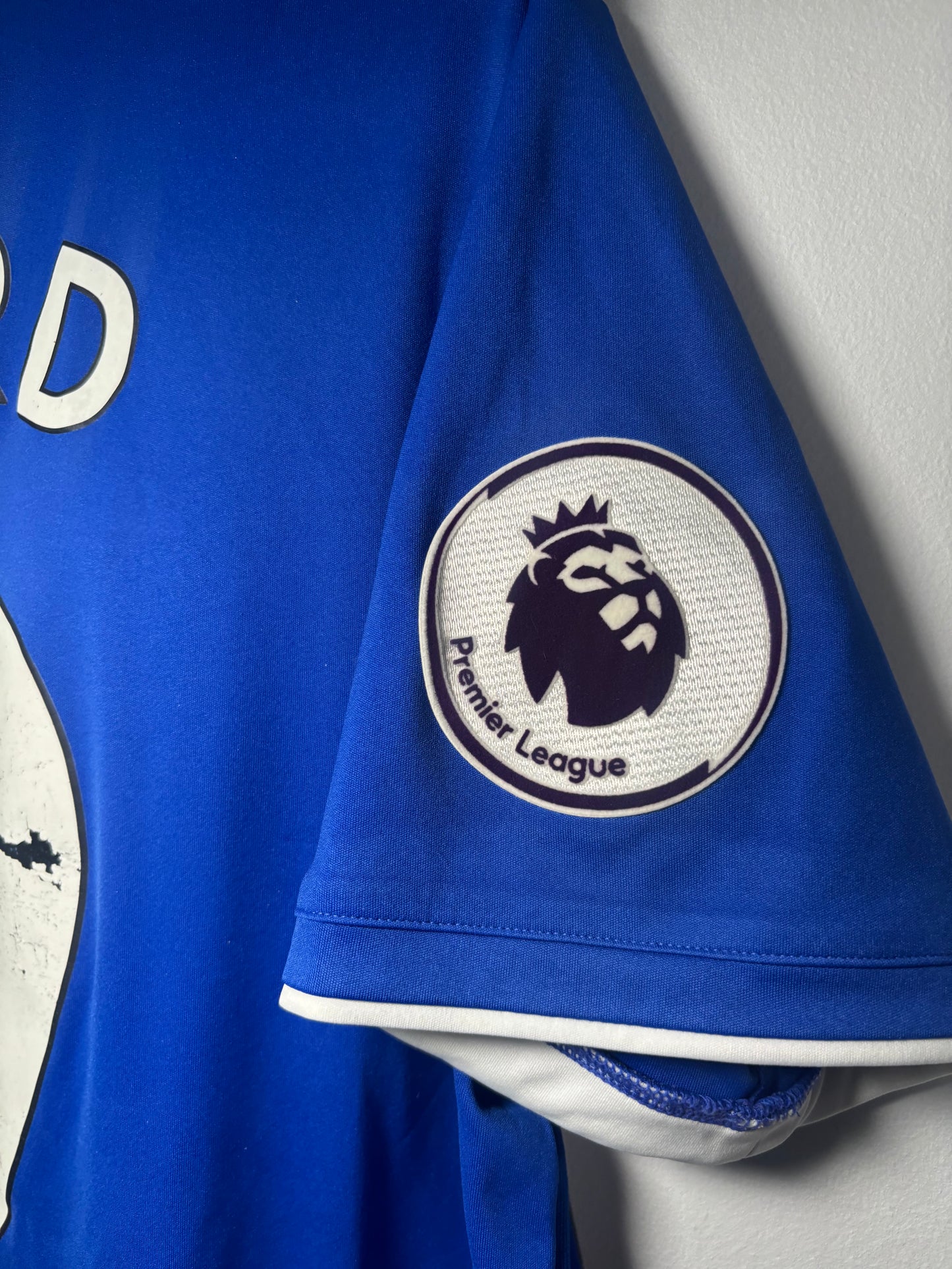 Cardiff City Home Shirt 2018/19 Danny Ward (L)